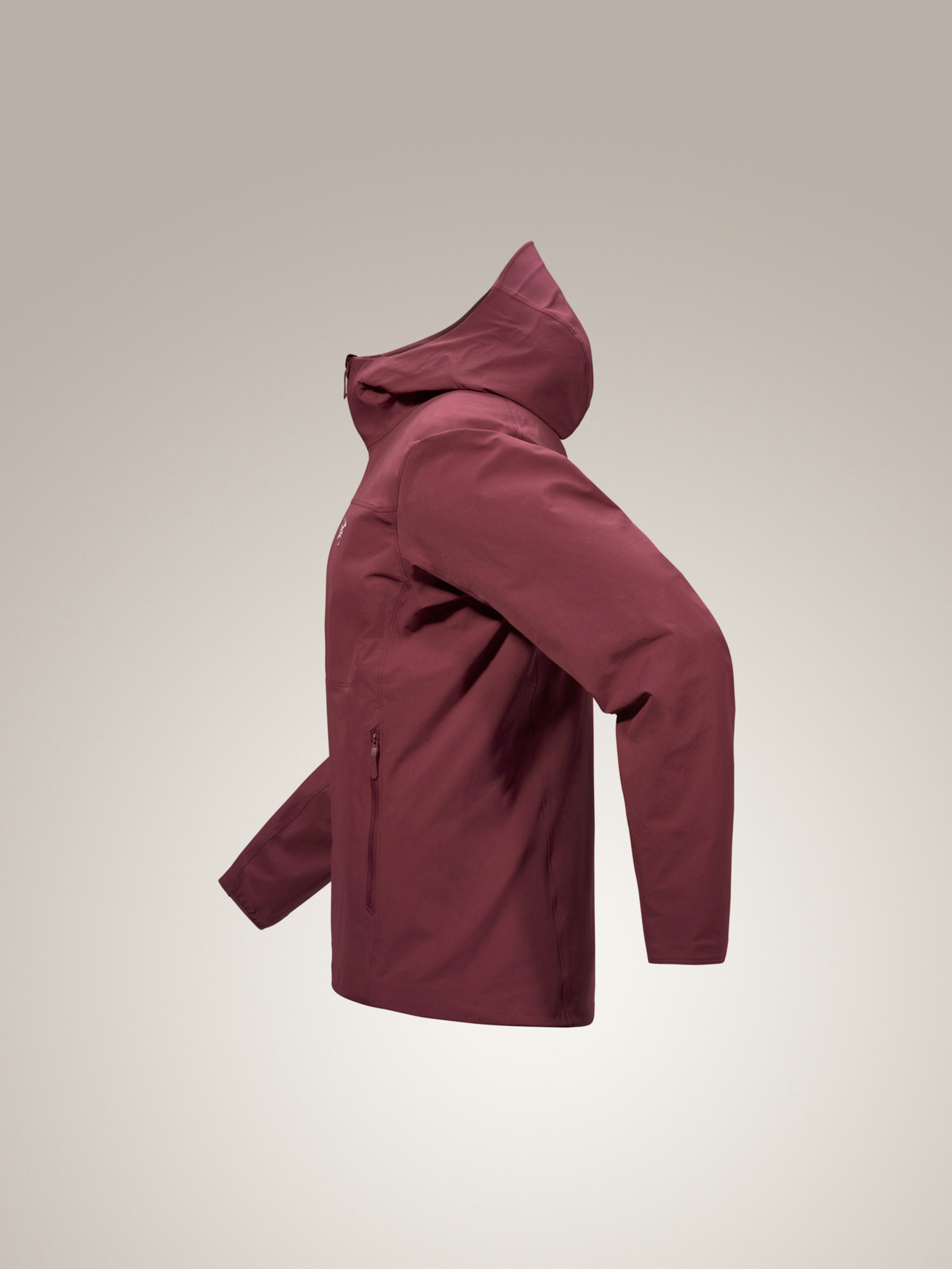 Gamma Hoody Men's