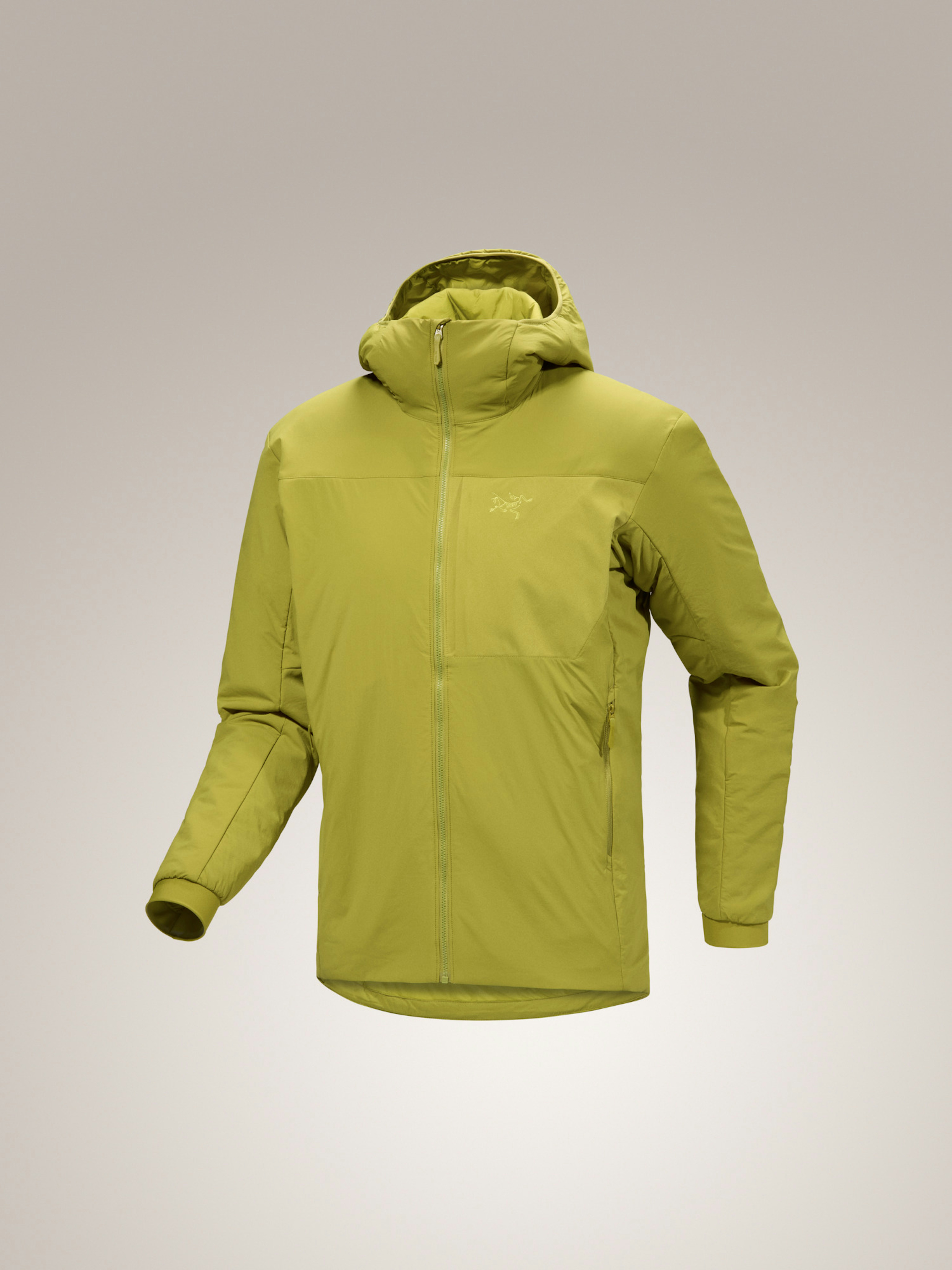 Proton Hoody Men's