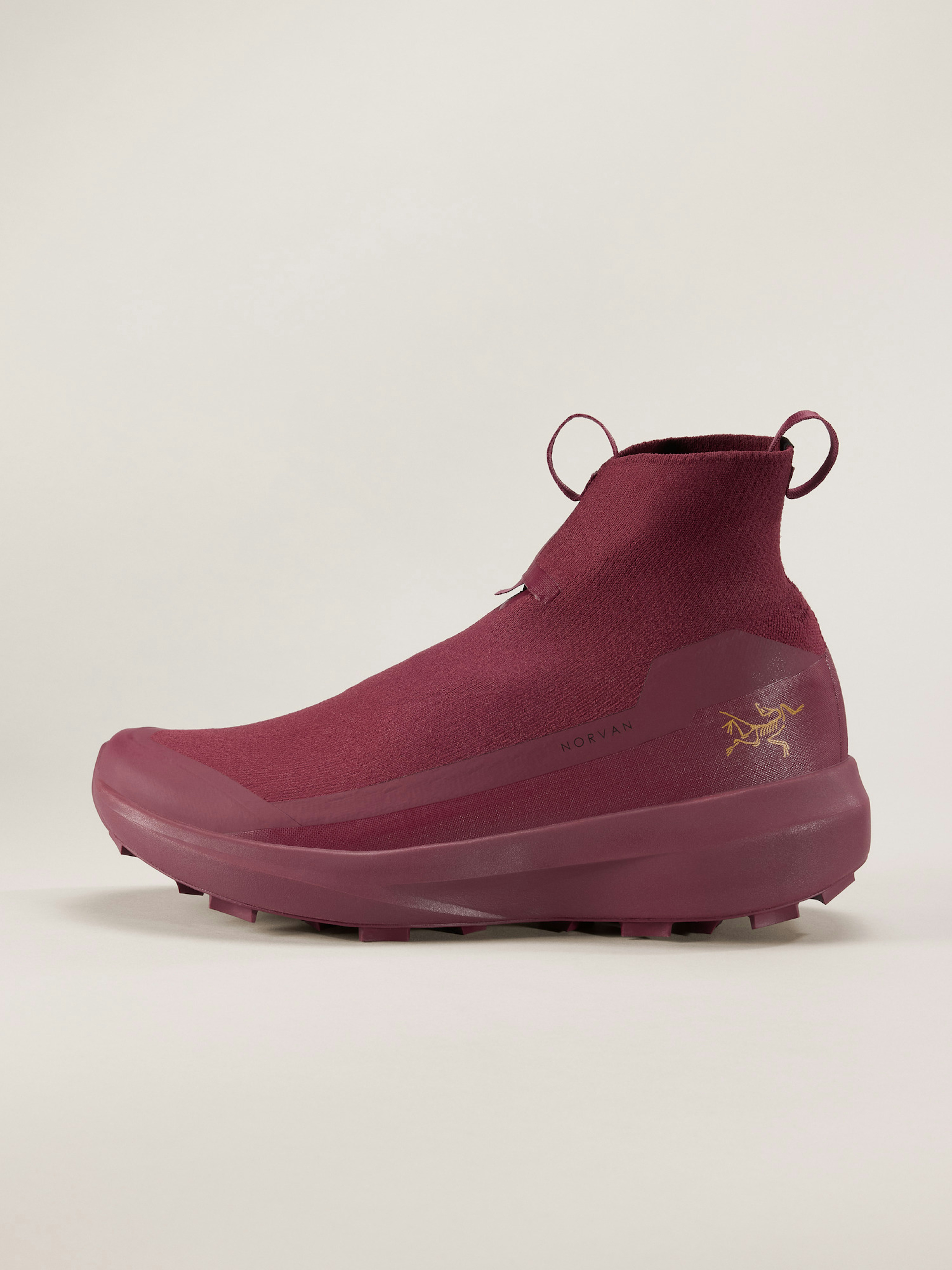 Norvan 4 Nivalis Shoe Women's