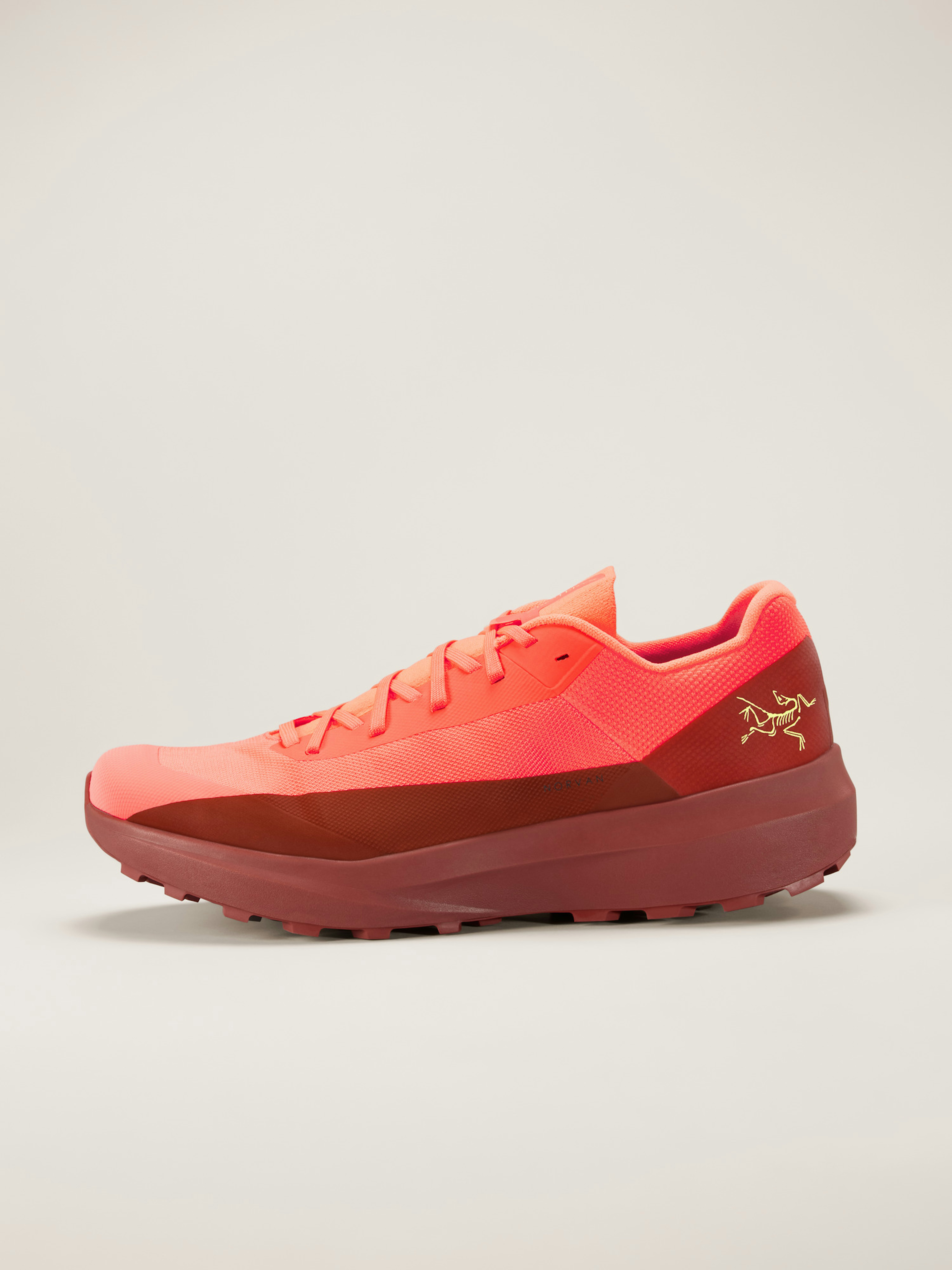 Norvan LD 4 Shoe Men's