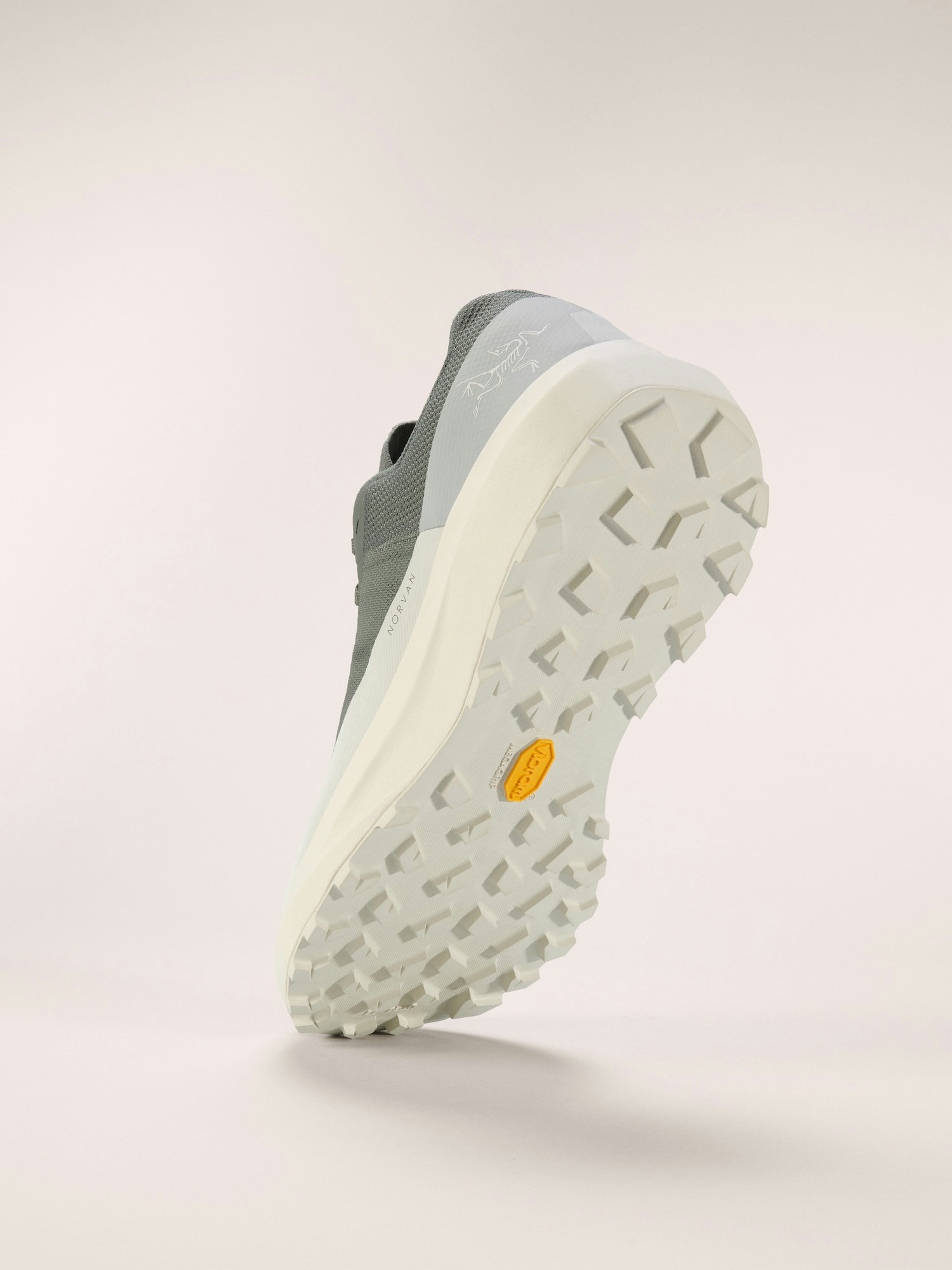 Norvan LD 4 Shoe Men's