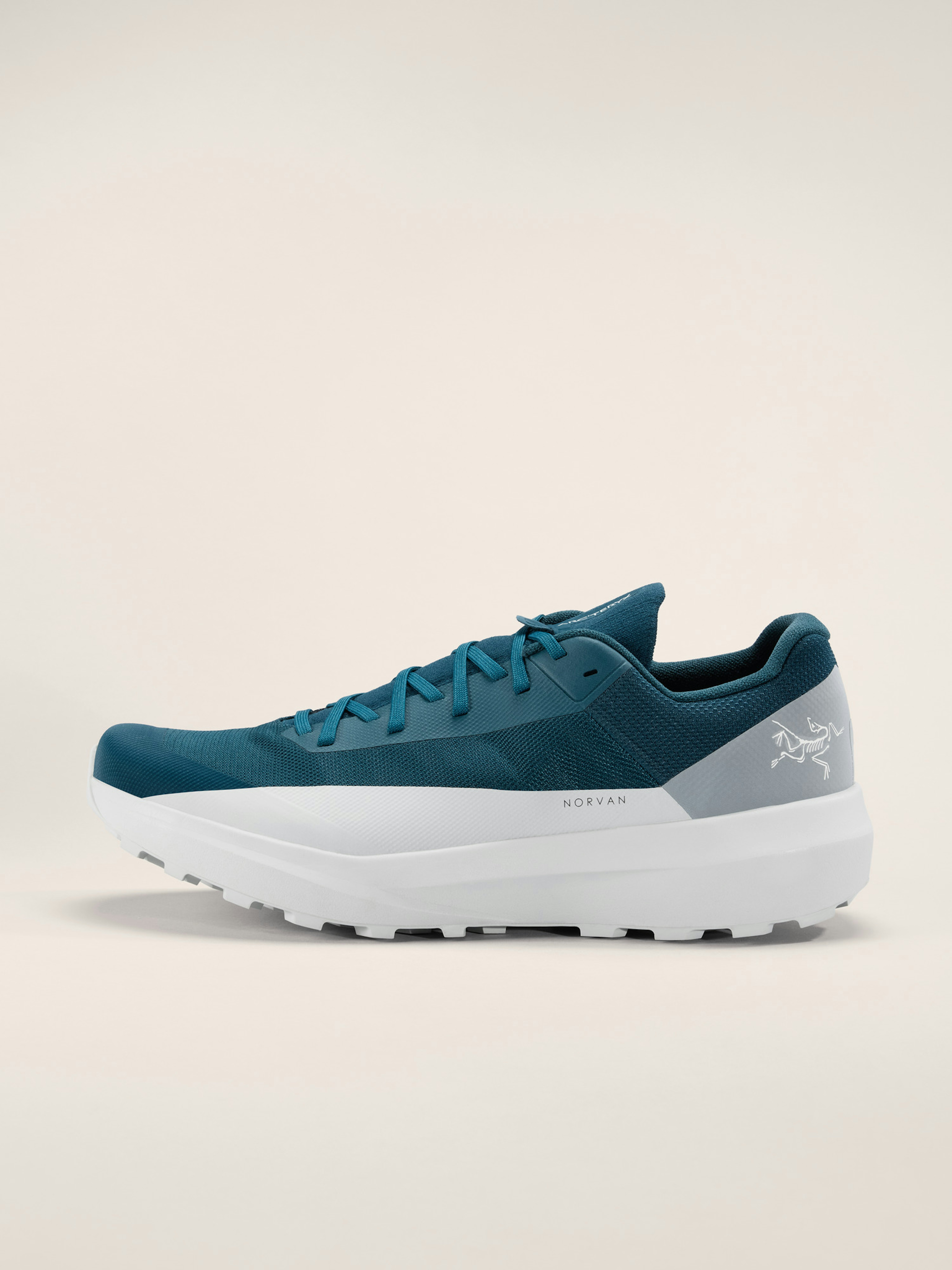 Norvan LD 4 Shoe Men's