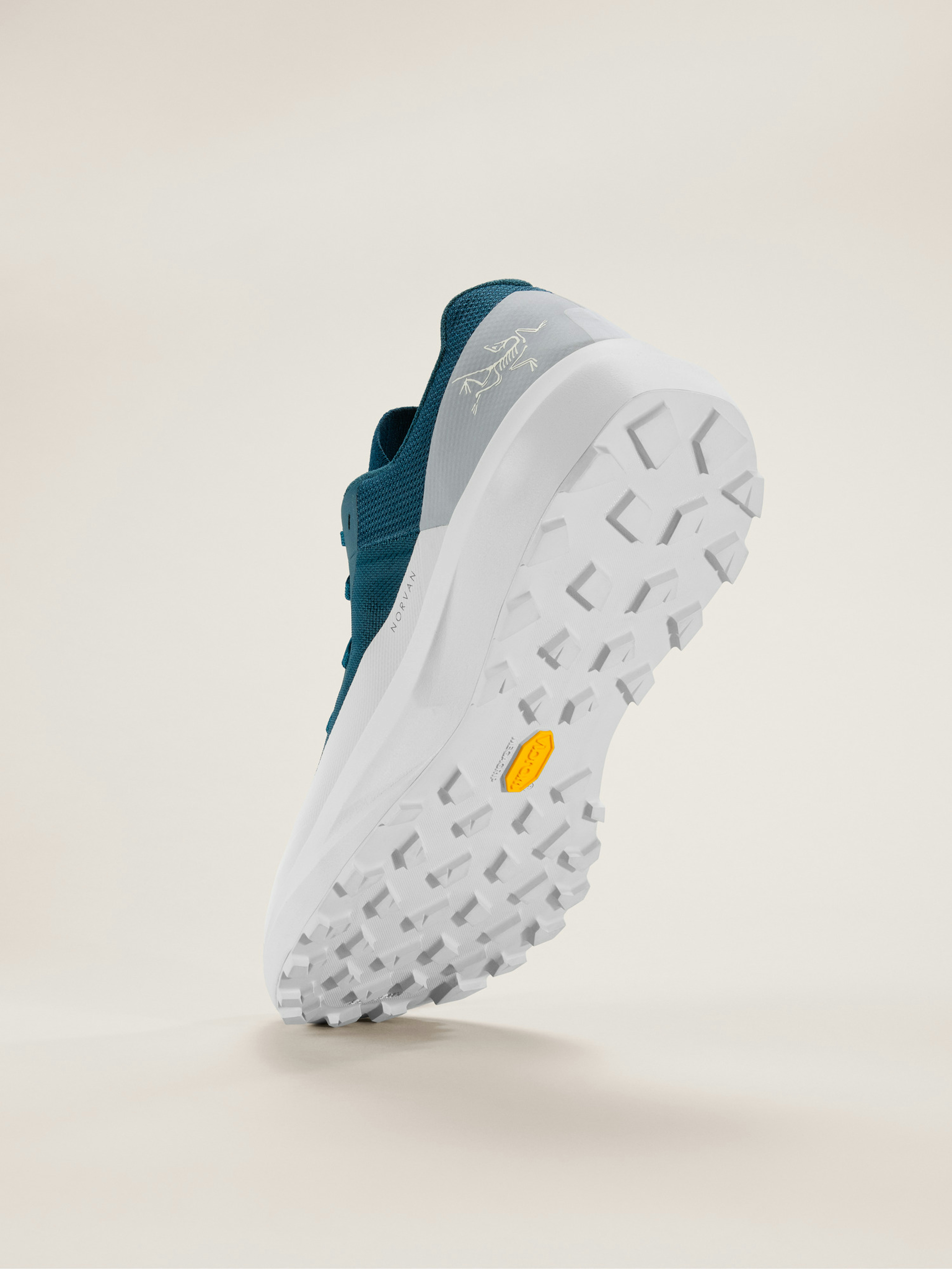 Norvan LD 4 Shoe Men's
