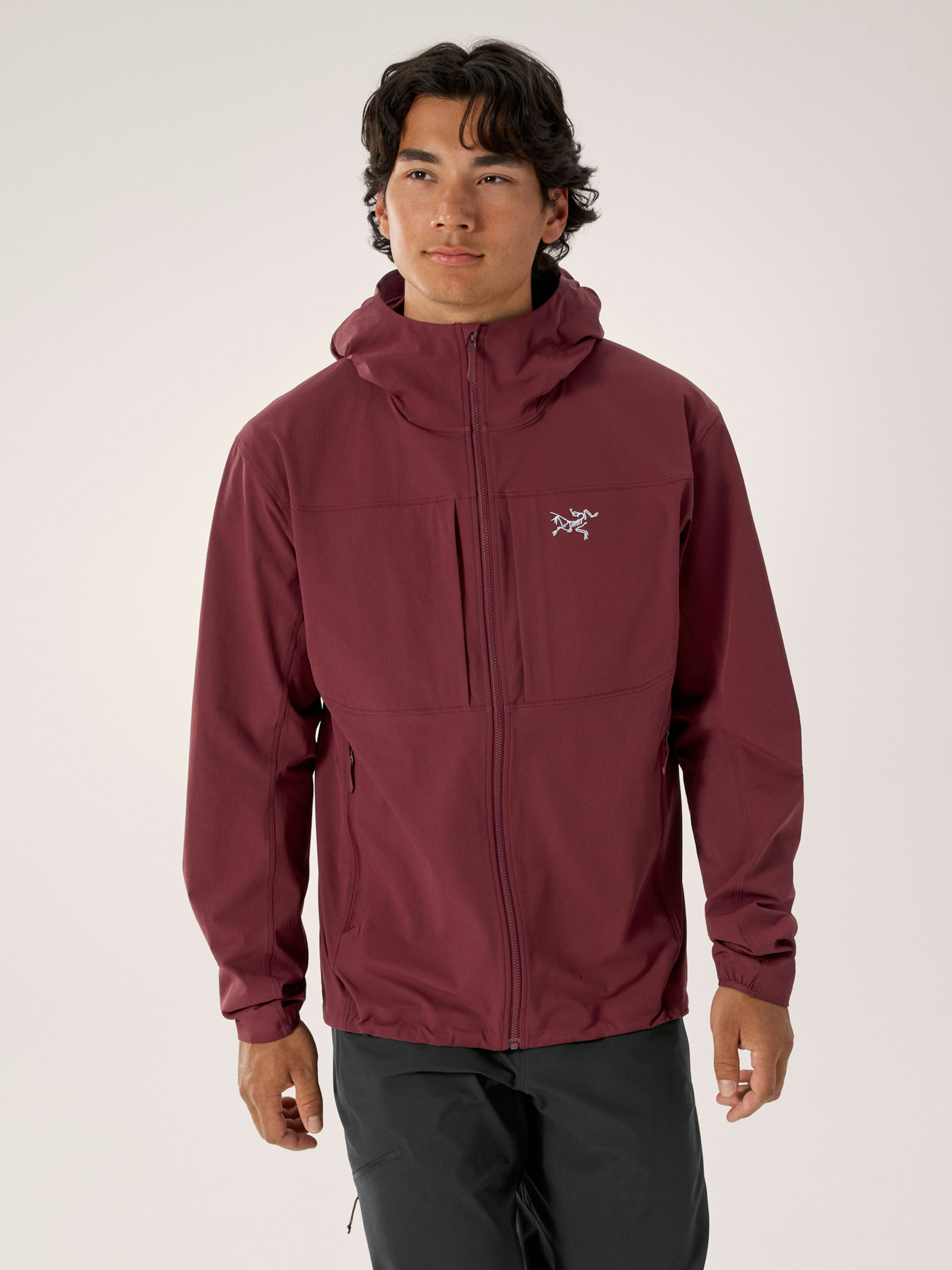 Gamma Hoody Men's