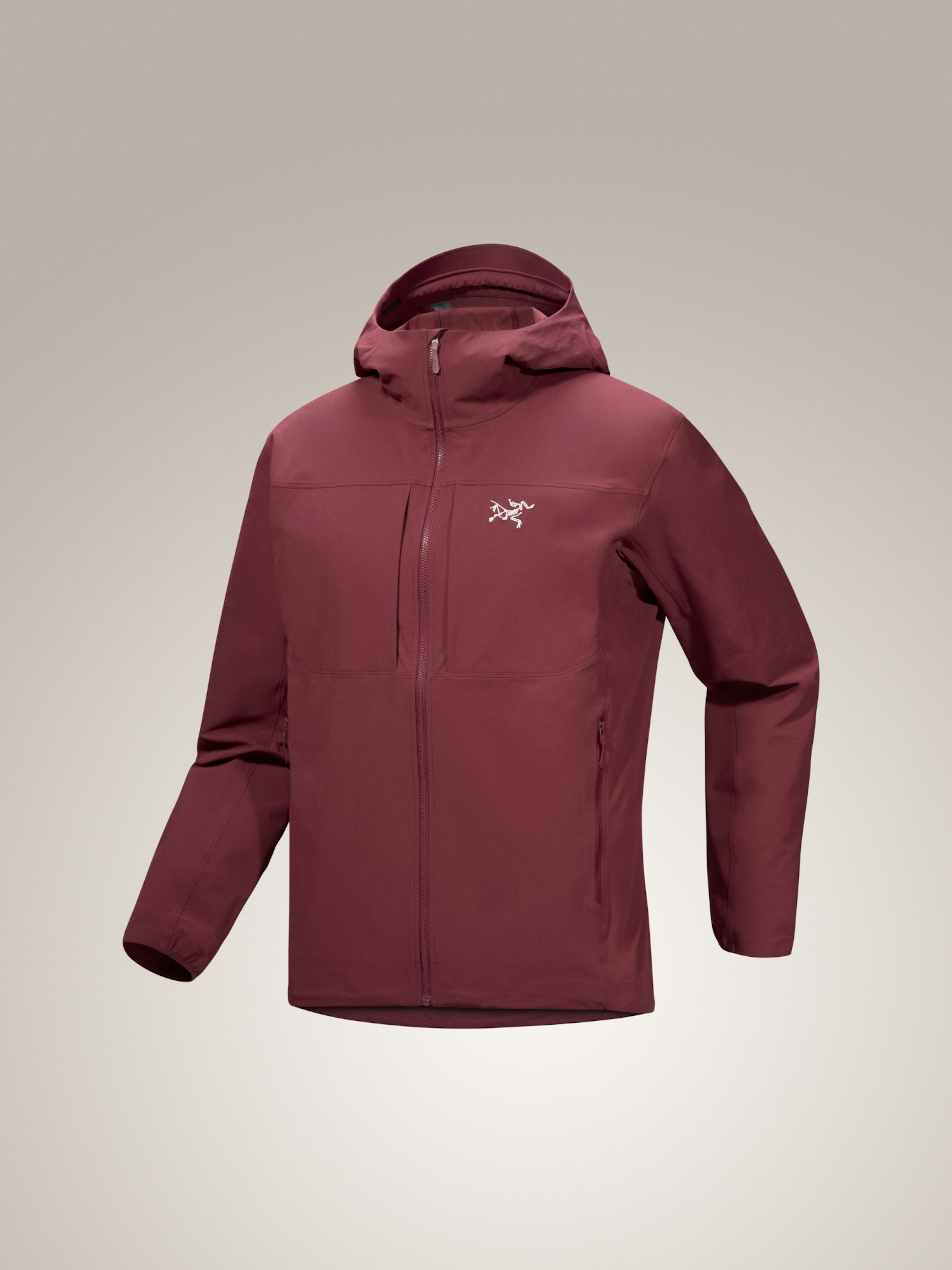 Gamma Hoody Men's