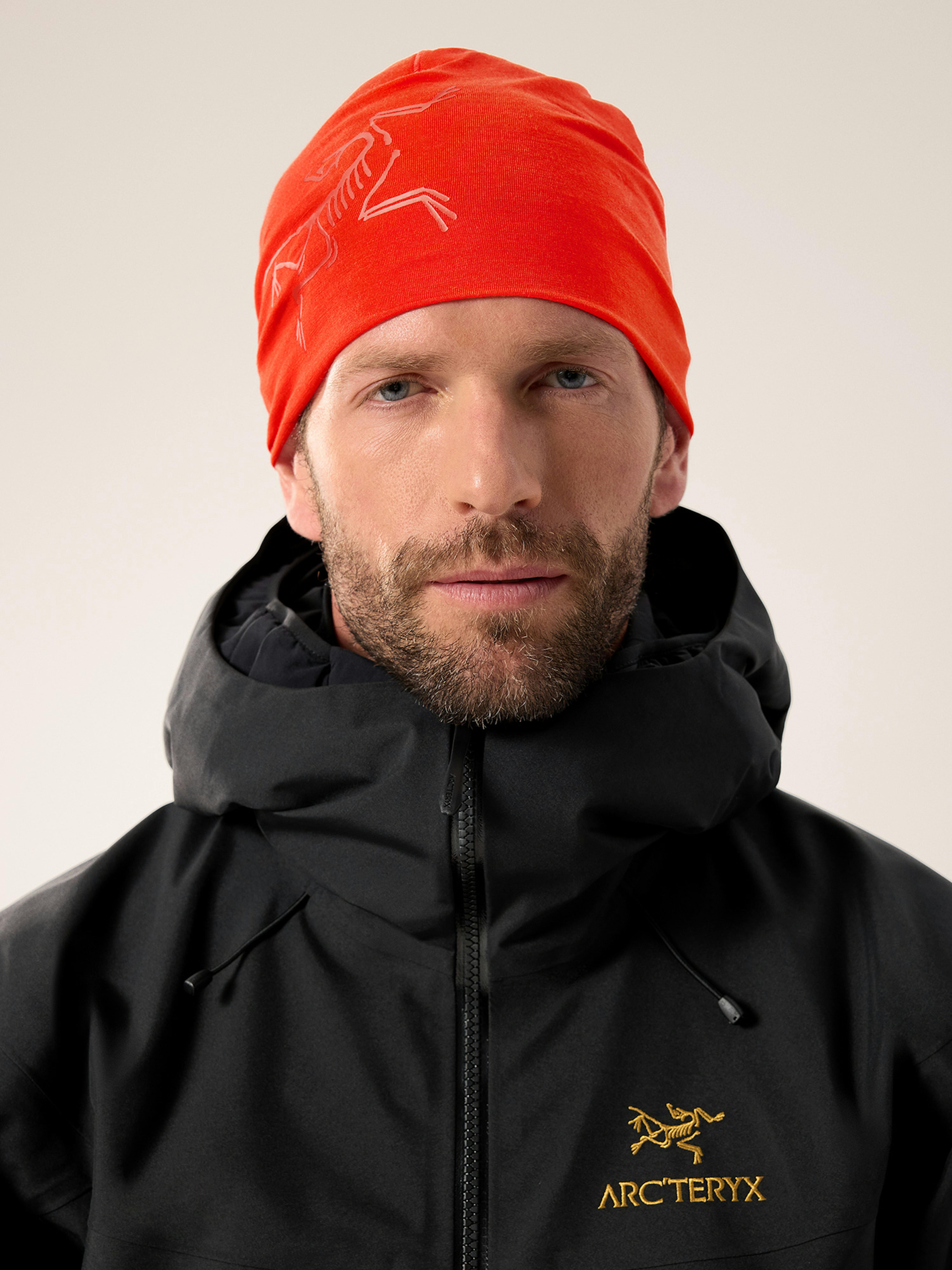 Satoro Merino Toque