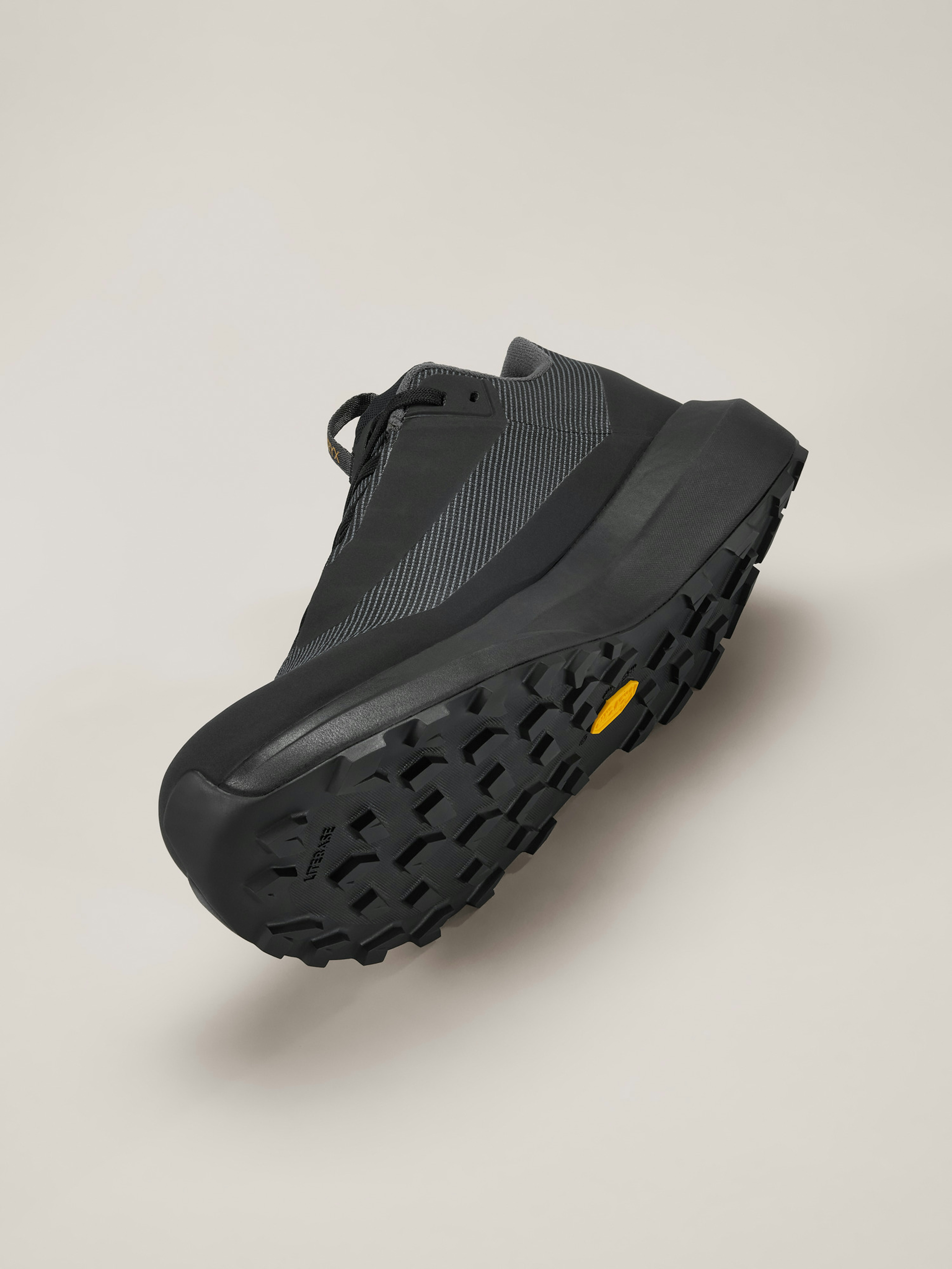 Norvan LD 4 GTX Shoe Women's