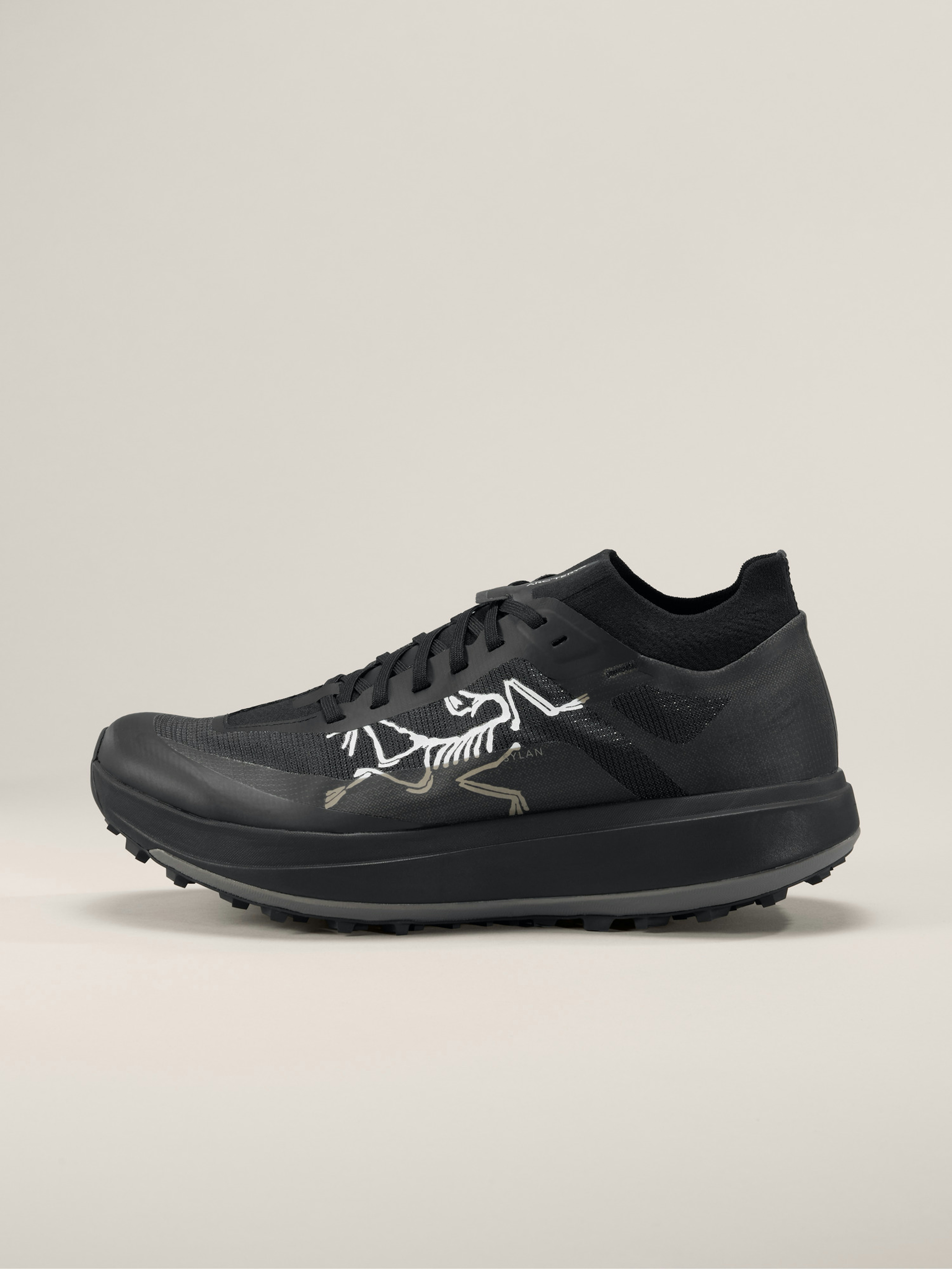 Sylan Pro Shoe Men's