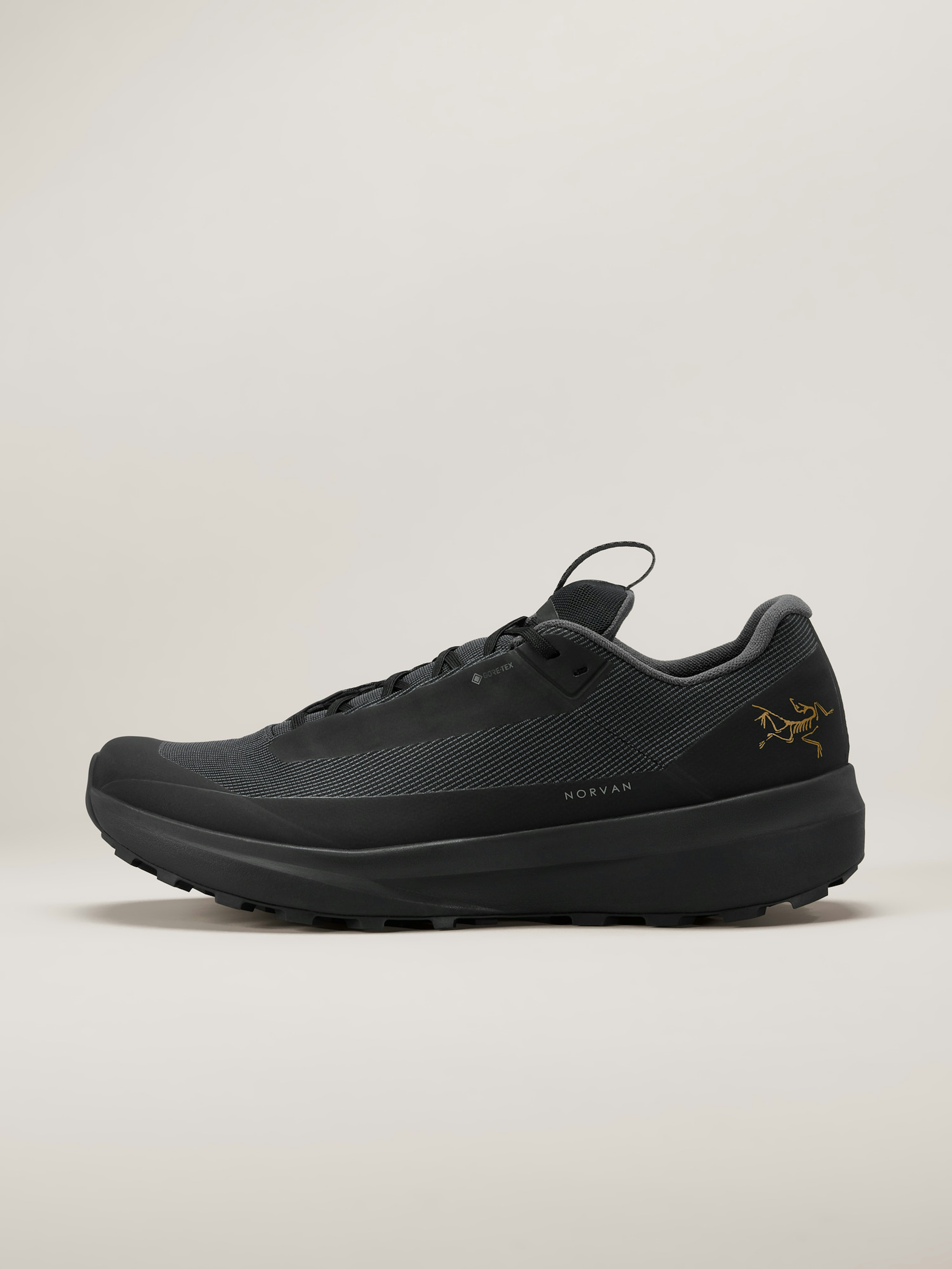 Norvan LD 4 GTX Shoe Women's