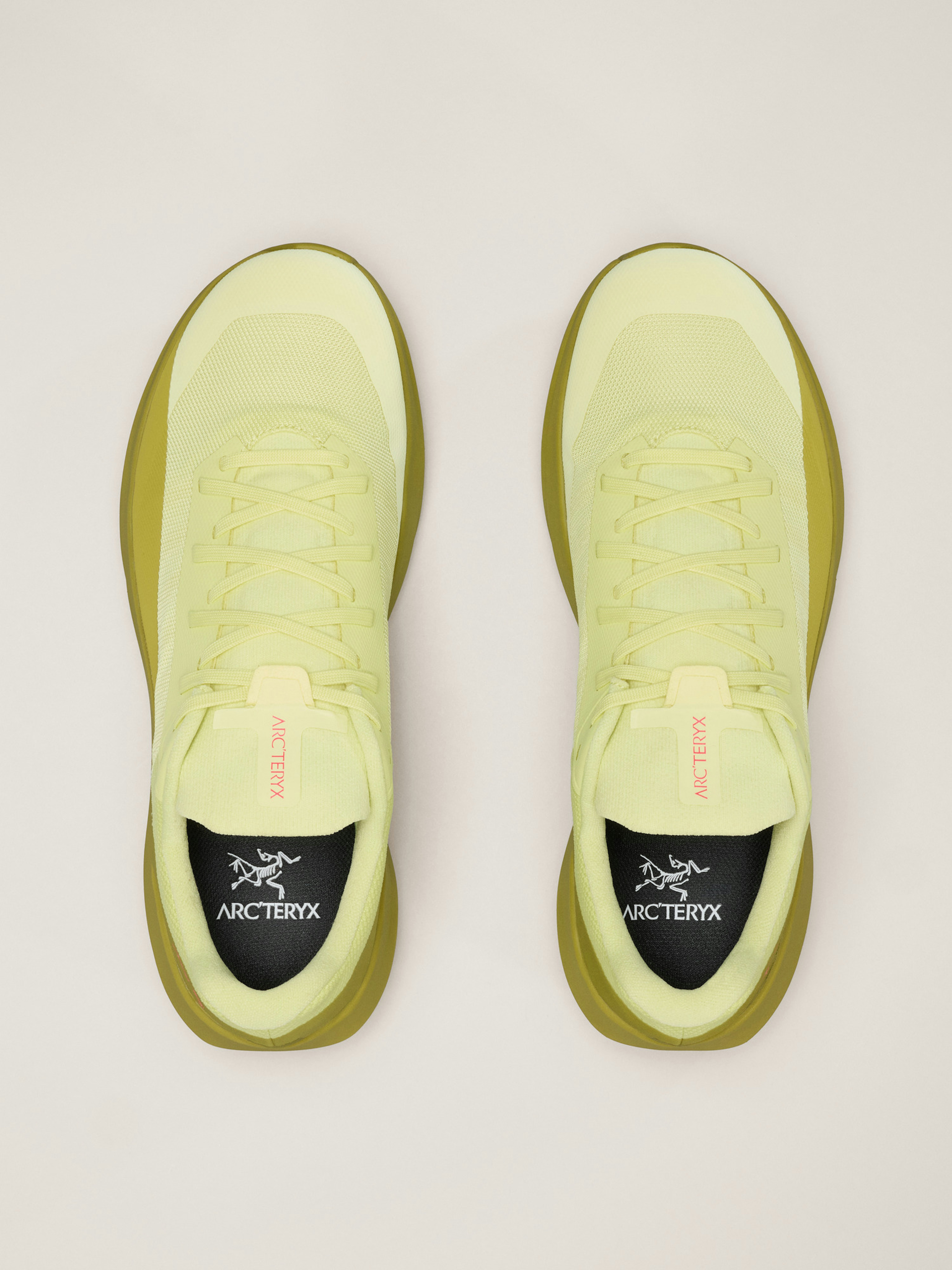 Norvan LD 4 Shoe Men's