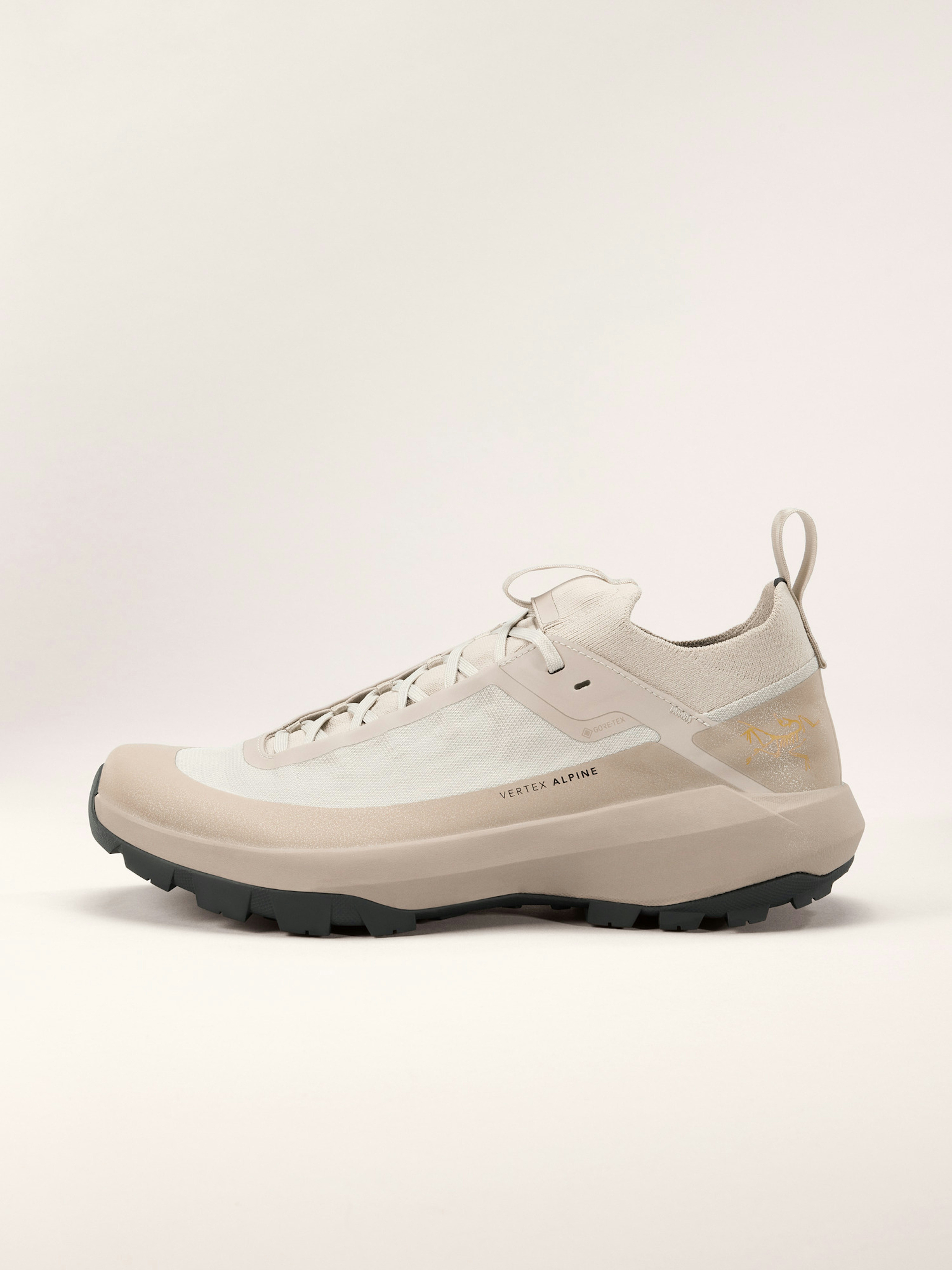 Vertex Alpine GTX Shoe Men's