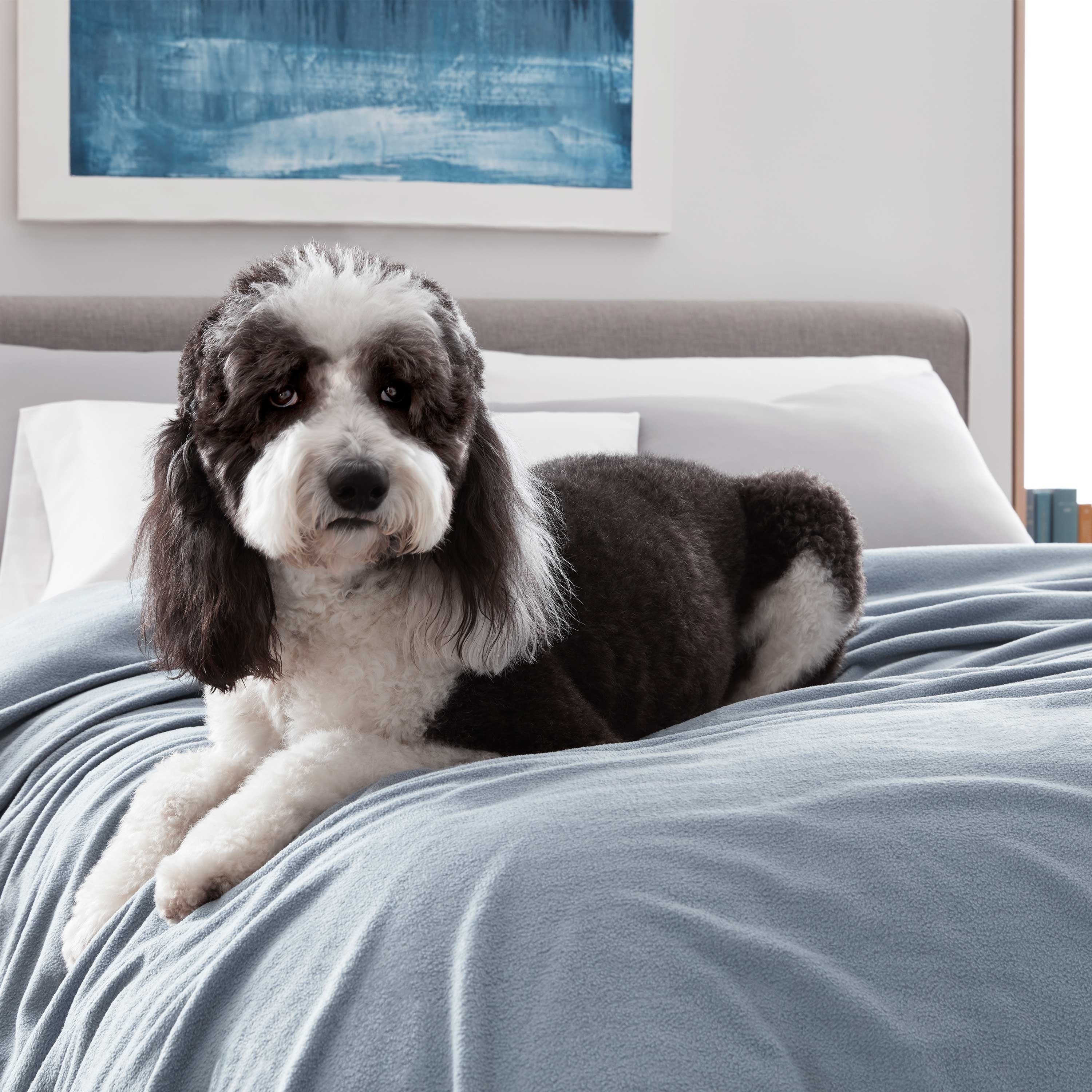 Martex Super Soft Fleece - Comfy Lightweight All Season Blanket