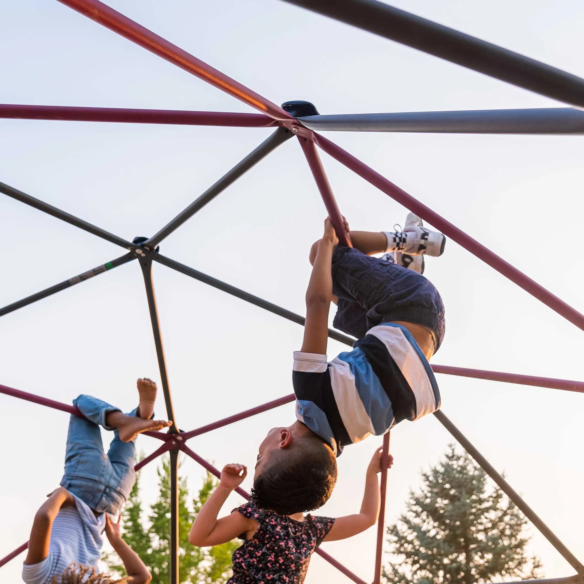 Lifetime Kid's Outdoor 5.5 ft. H x 11 ft. W Dome Climber, Berry and Brown (91088)