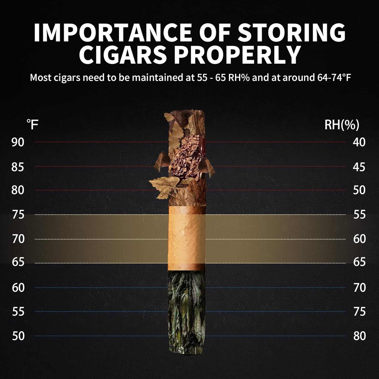 ThermoCigar 48L Cigar Humidor with Heating & Cooling, Cedar Wood, Digital Hygrometer, Quiet Electric Cooler for 350 Cigars