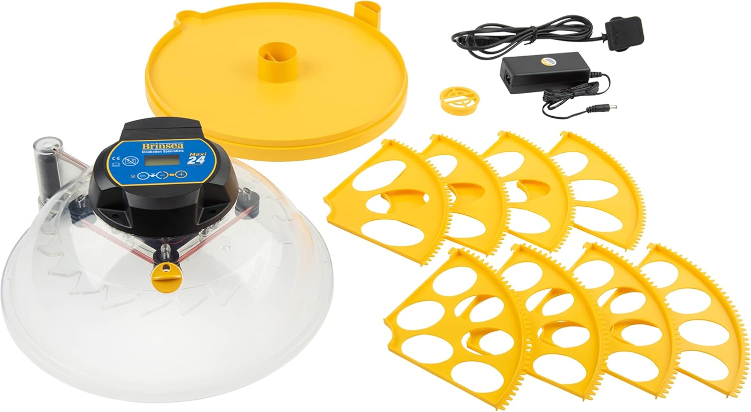 Automatic 24 Egg Incubator, Yellow/Blue