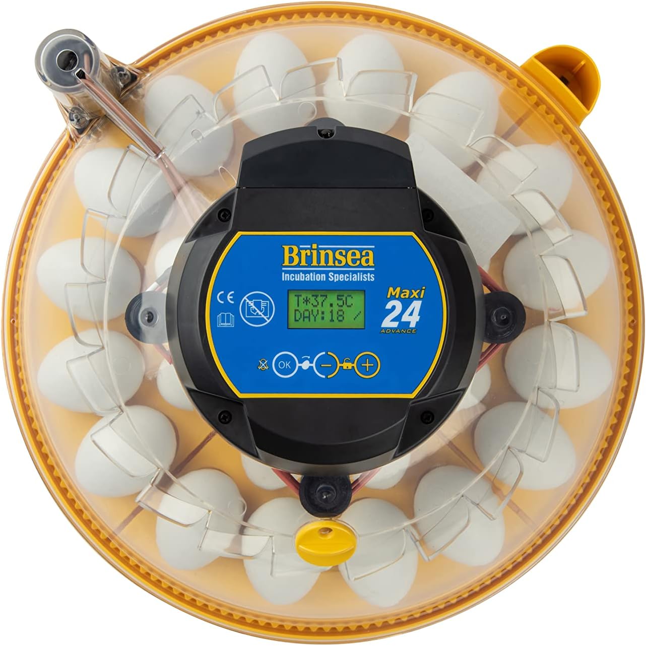 Automatic 24 Egg Incubator, Yellow/Blue