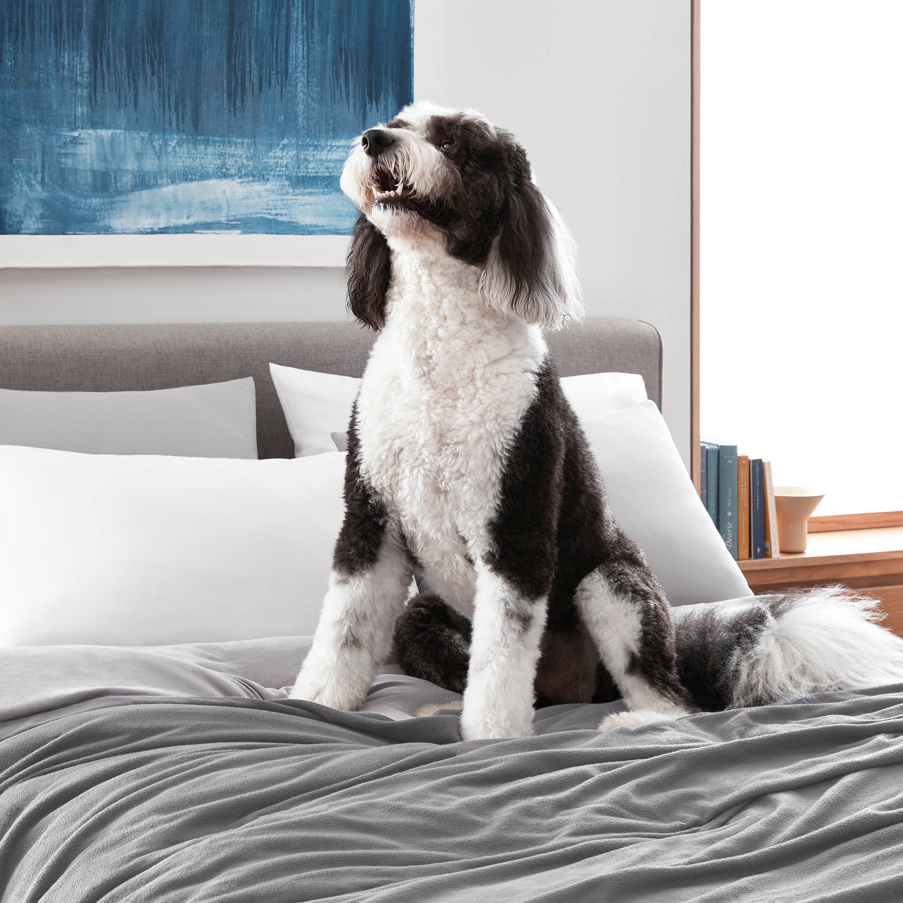 Martex Super Soft Fleece - Comfy Lightweight All Season Blanket