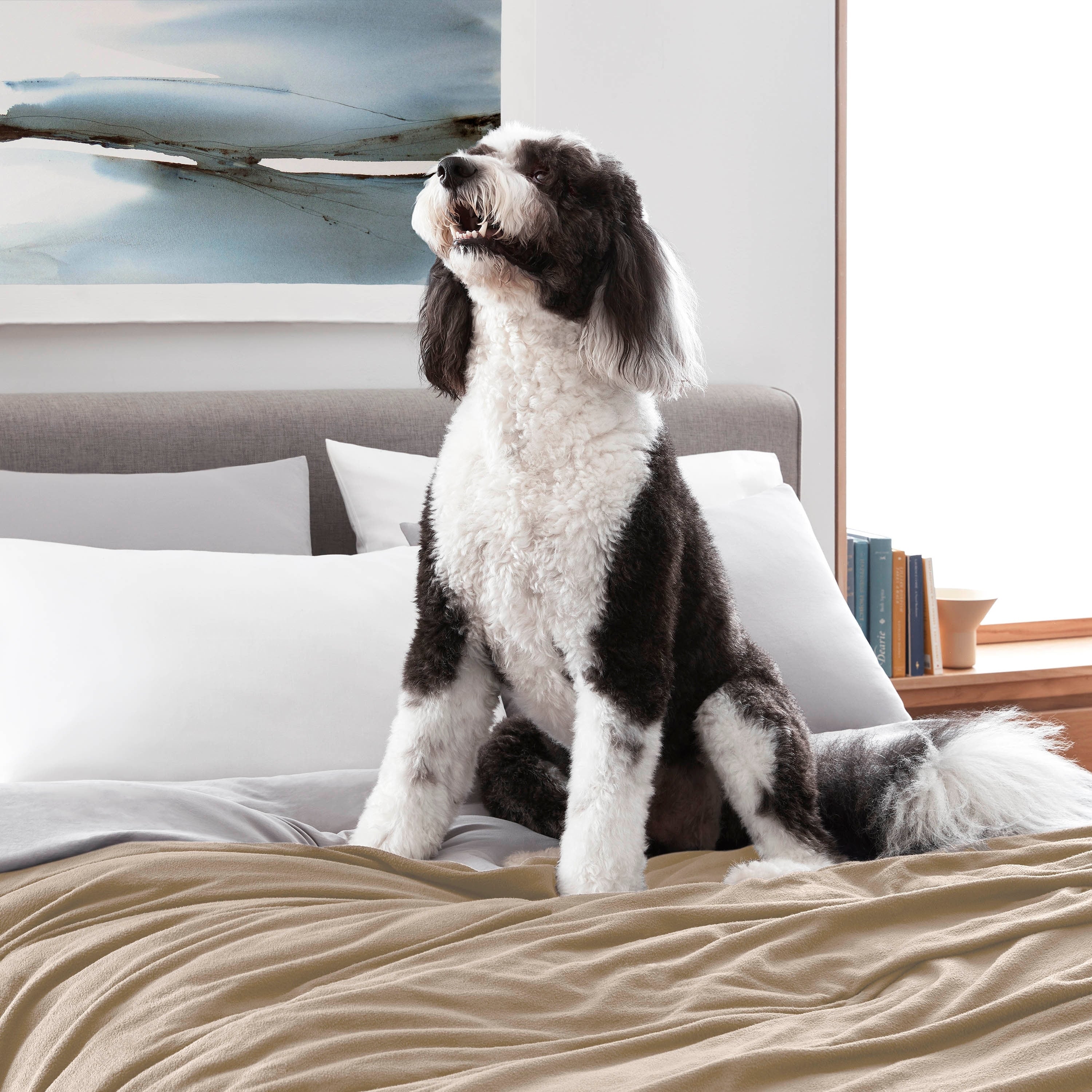 Martex Super Soft Fleece - Comfy Lightweight All Season Blanket