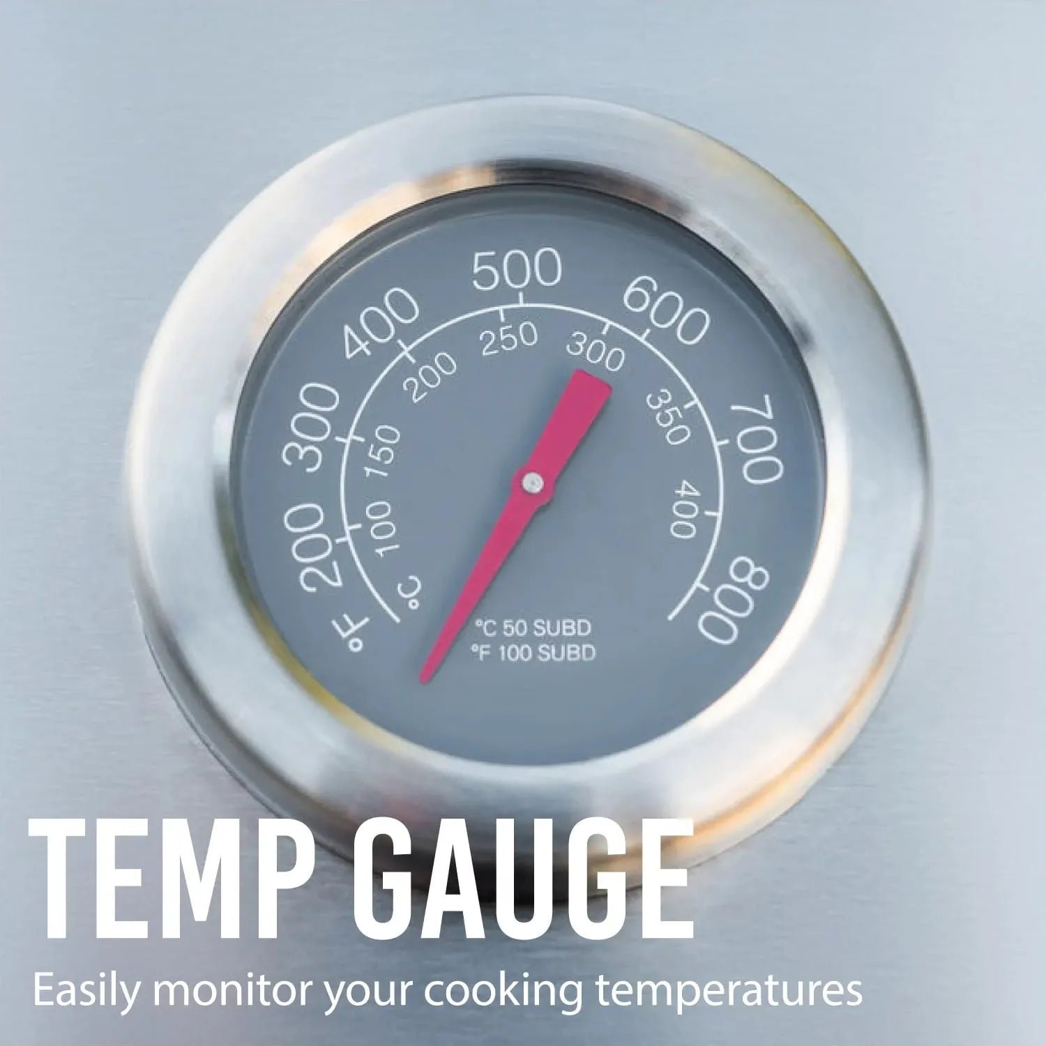 Expert Grill 5-Burner Propane Gas Grill with Side Burner