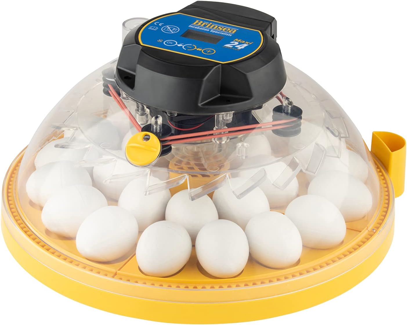Automatic 24 Egg Incubator, Yellow/Blue