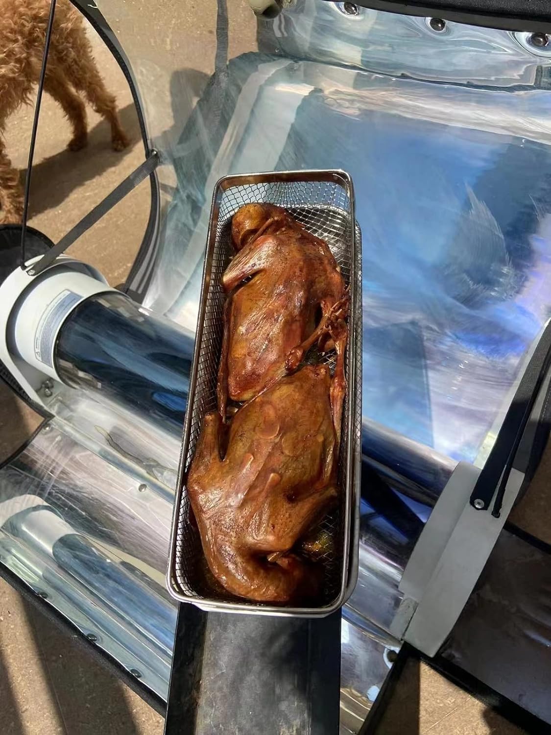 SolarCook Stainless Steel Portable Solar Oven, 4.5L Capacity, with Thermometer for Camping & Outdoor Cooking