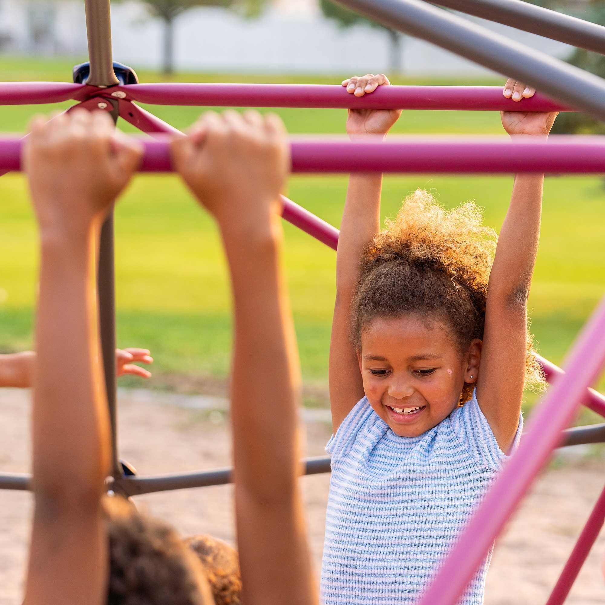 Lifetime Kid's Outdoor 5.5 ft. H x 11 ft. W Dome Climber, Berry and Brown (91088)