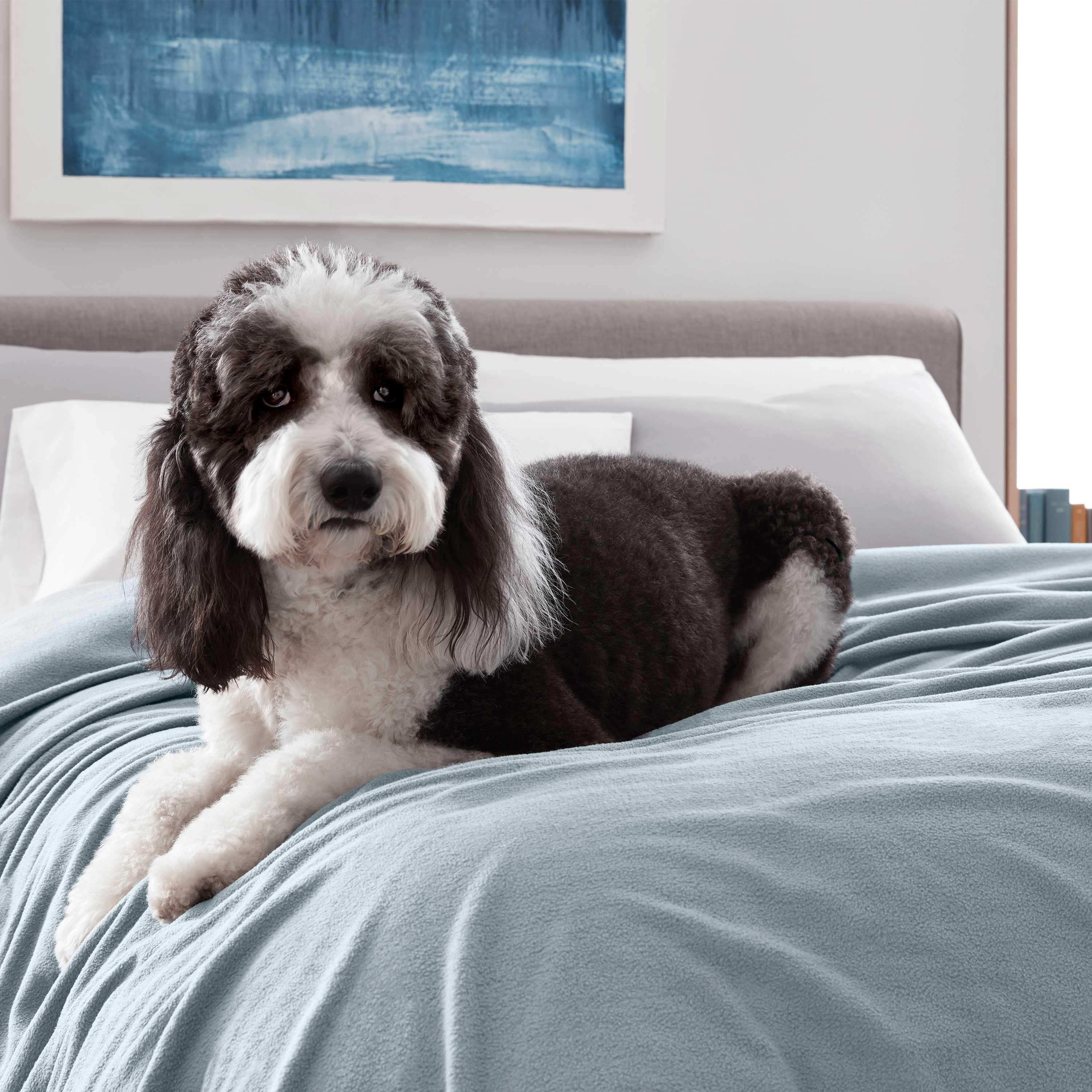 Martex Super Soft Fleece - Comfy Lightweight All Season Blanket