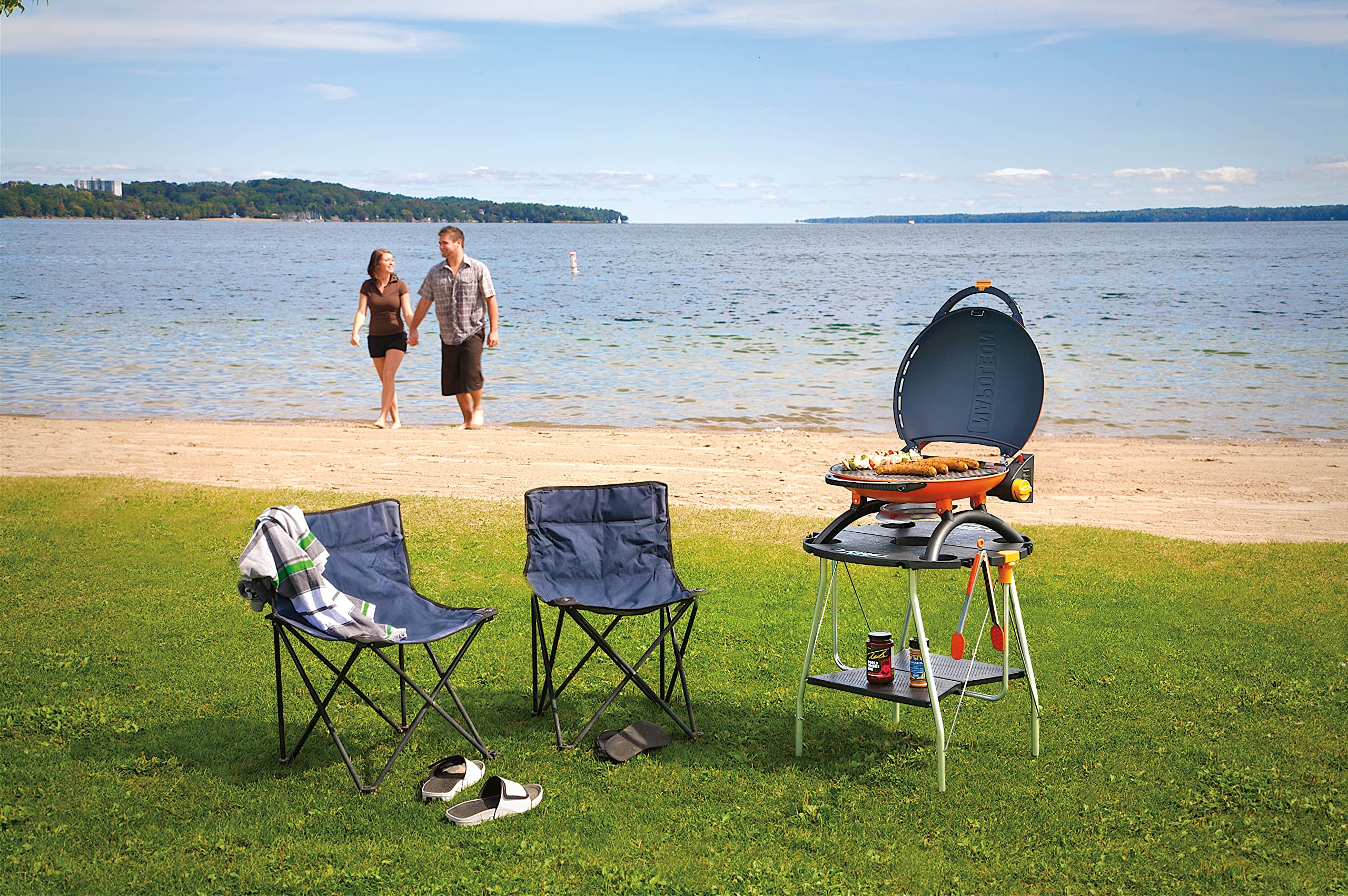 Napoleon TQ2225 STAND TQ2225PO Portable Accessory