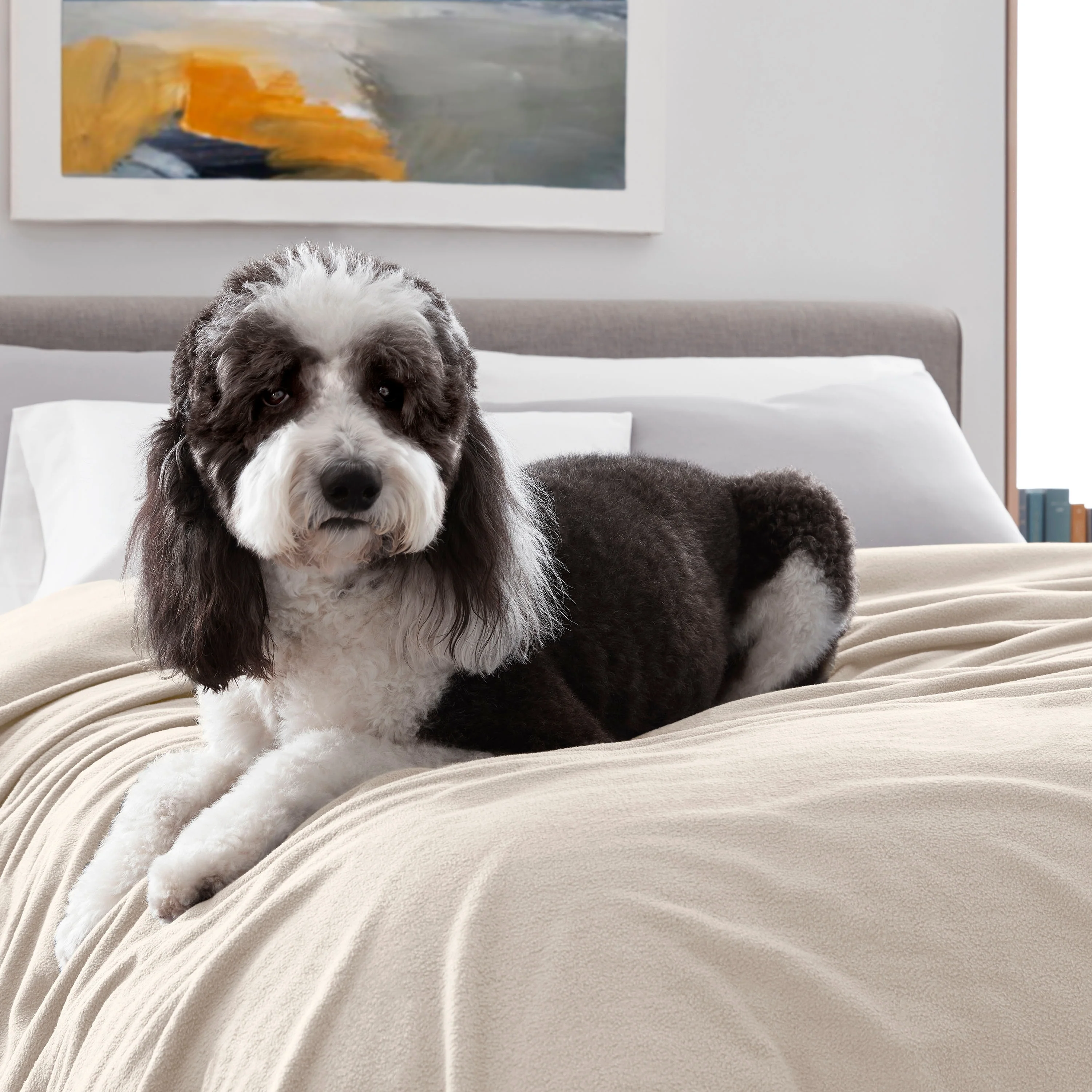 Martex Super Soft Fleece - Comfy Lightweight All Season Blanket
