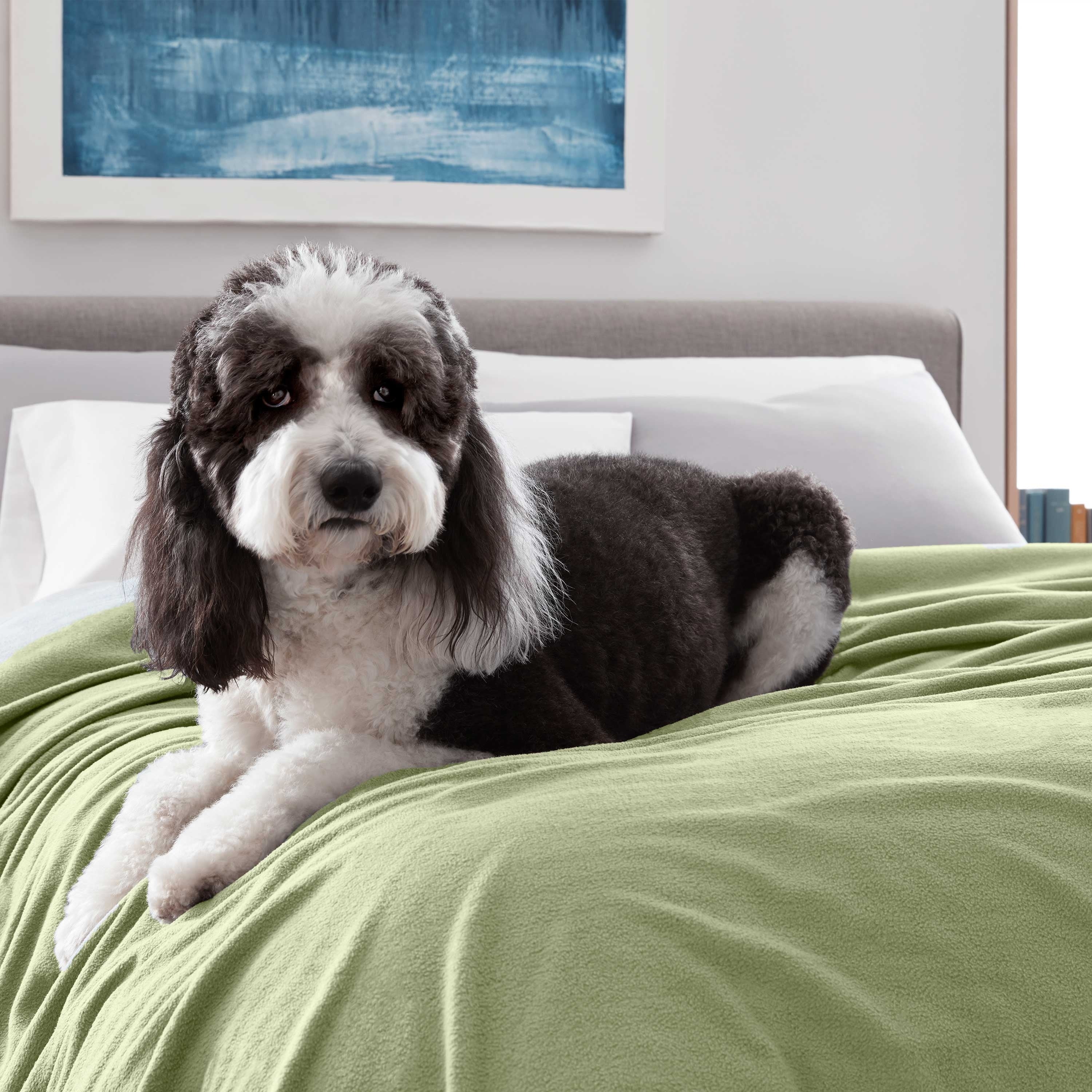 Martex Super Soft Fleece - Comfy Lightweight All Season Blanket
