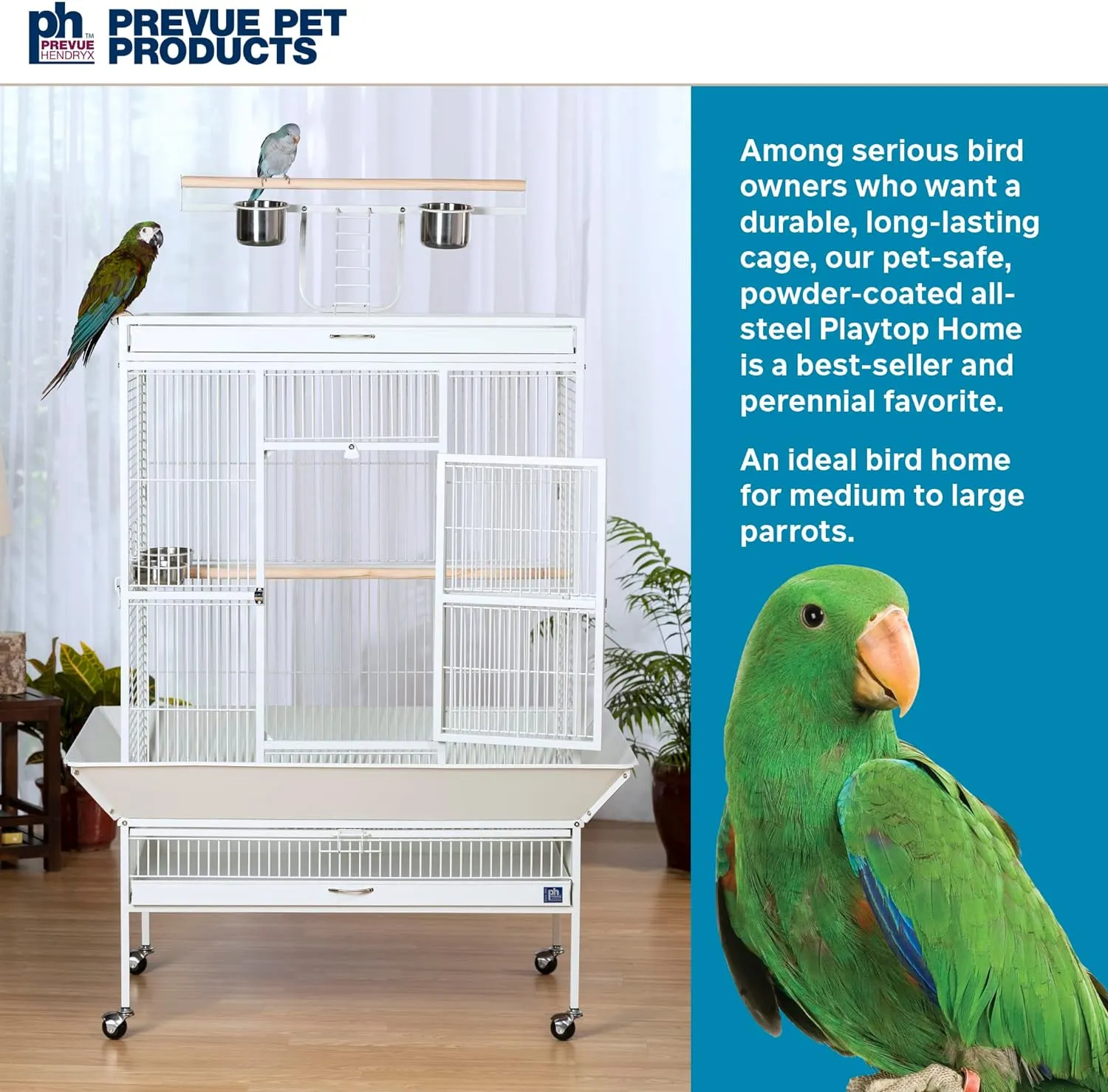 Prevue Pet Products Wrought Iron Bird Cage, Chalk White, 36���x24���x66���, Includes Perches & Cups