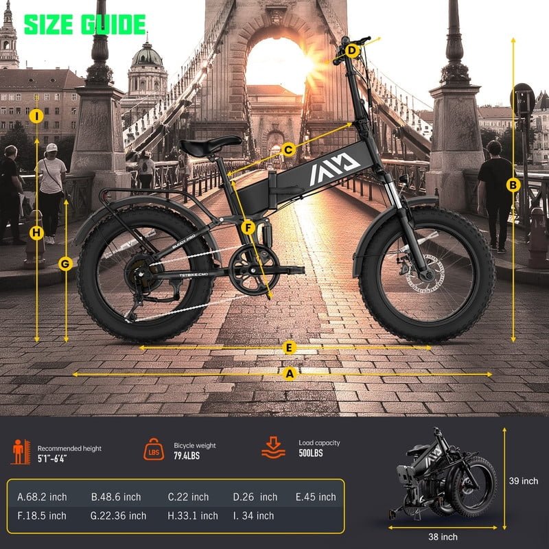 Buddy Pro 750W Foldable Electric Bike, 20��� Fat Tire, 48V 13Ah Battery, Dual Suspension, LCD Display, Black