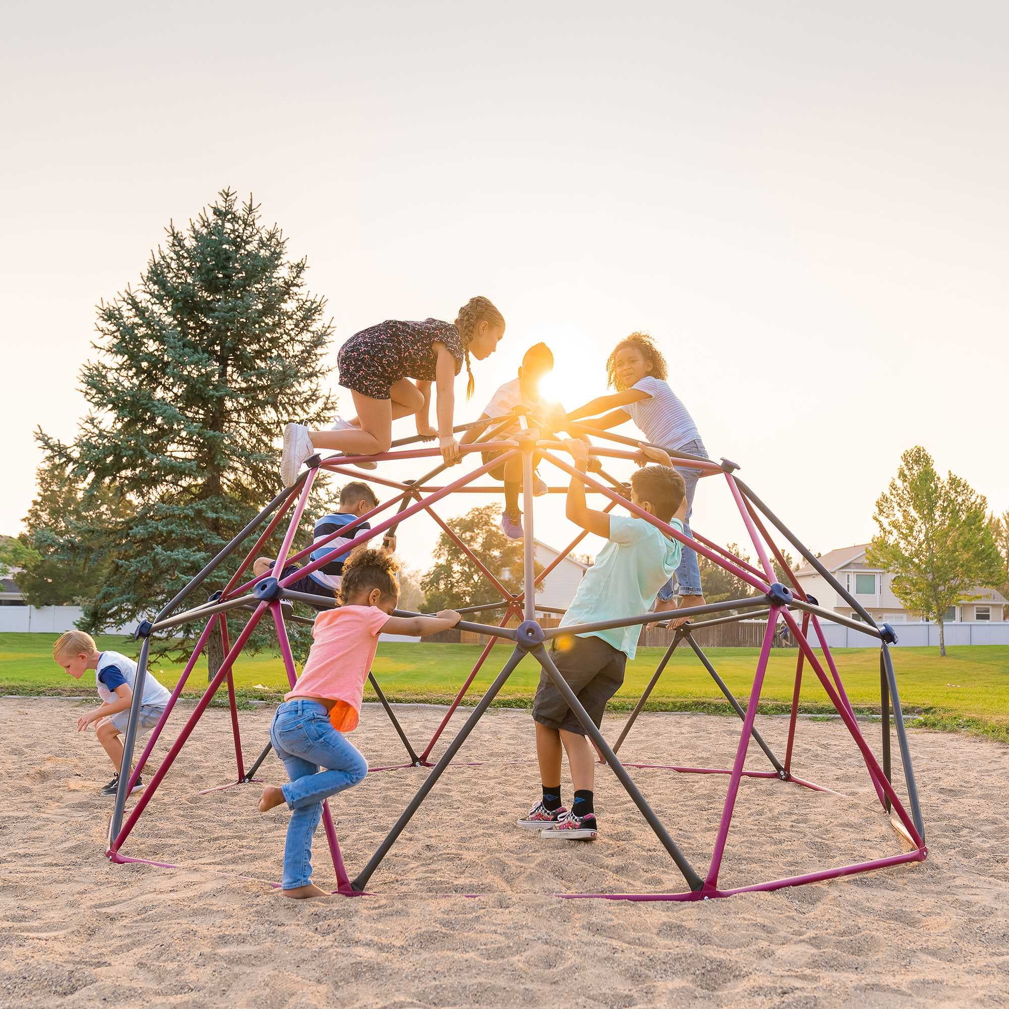 Lifetime Kid's Outdoor 5.5 ft. H x 11 ft. W Dome Climber, Berry and Brown (91088)