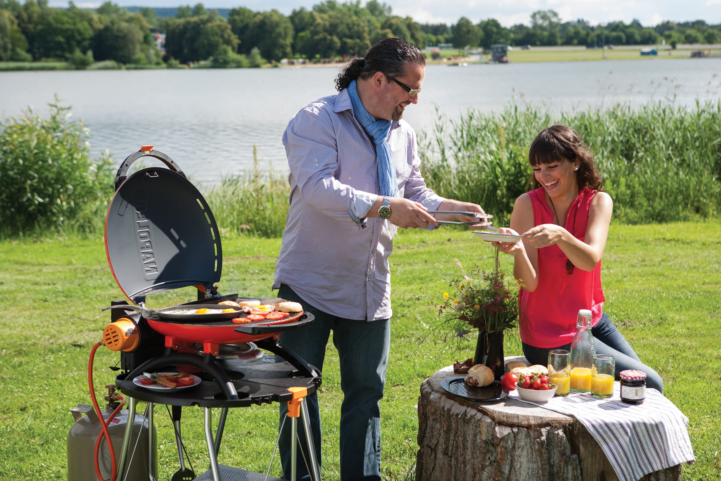 Napoleon TQ2225 STAND TQ2225PO Portable Accessory