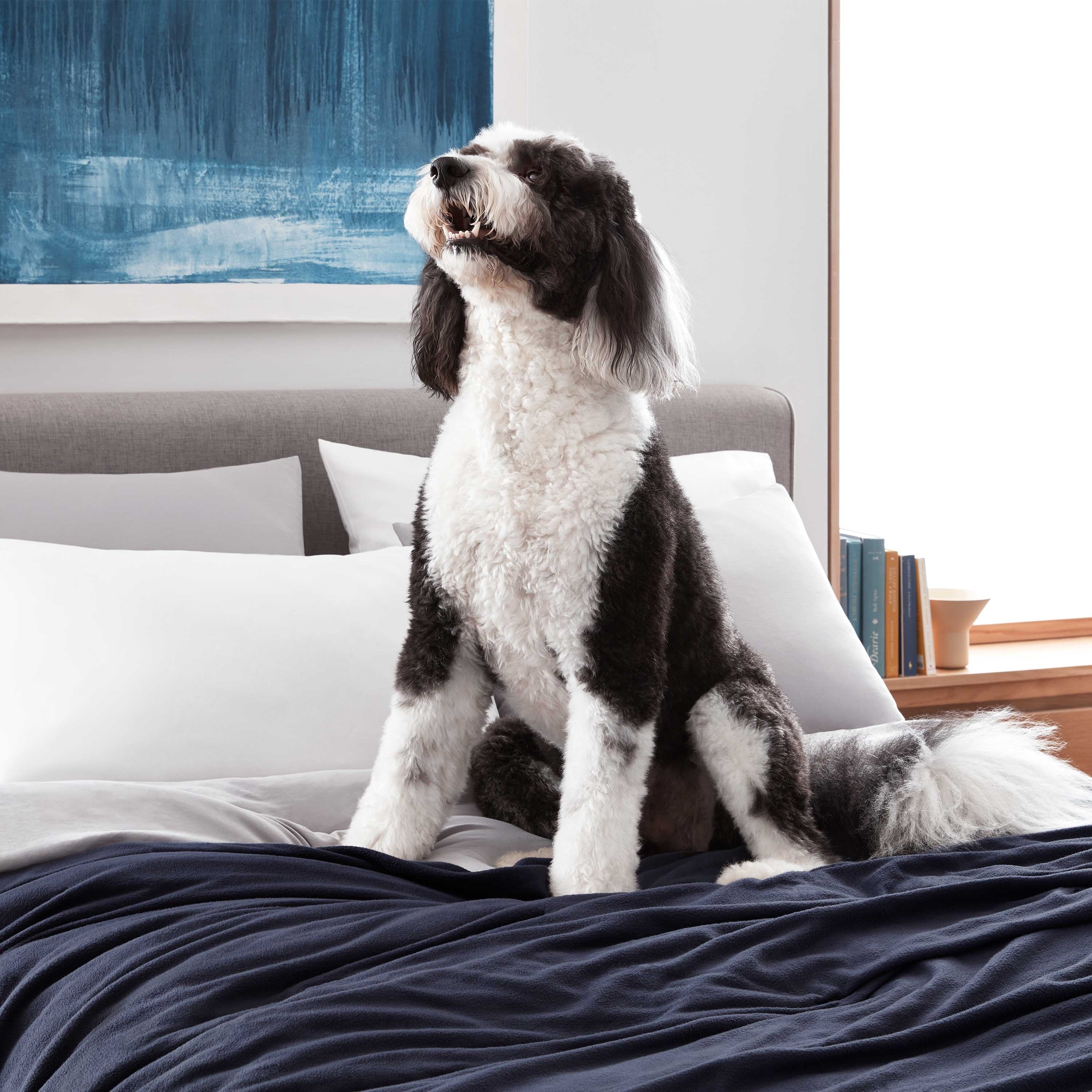 Martex Super Soft Fleece - Comfy Lightweight All Season Blanket