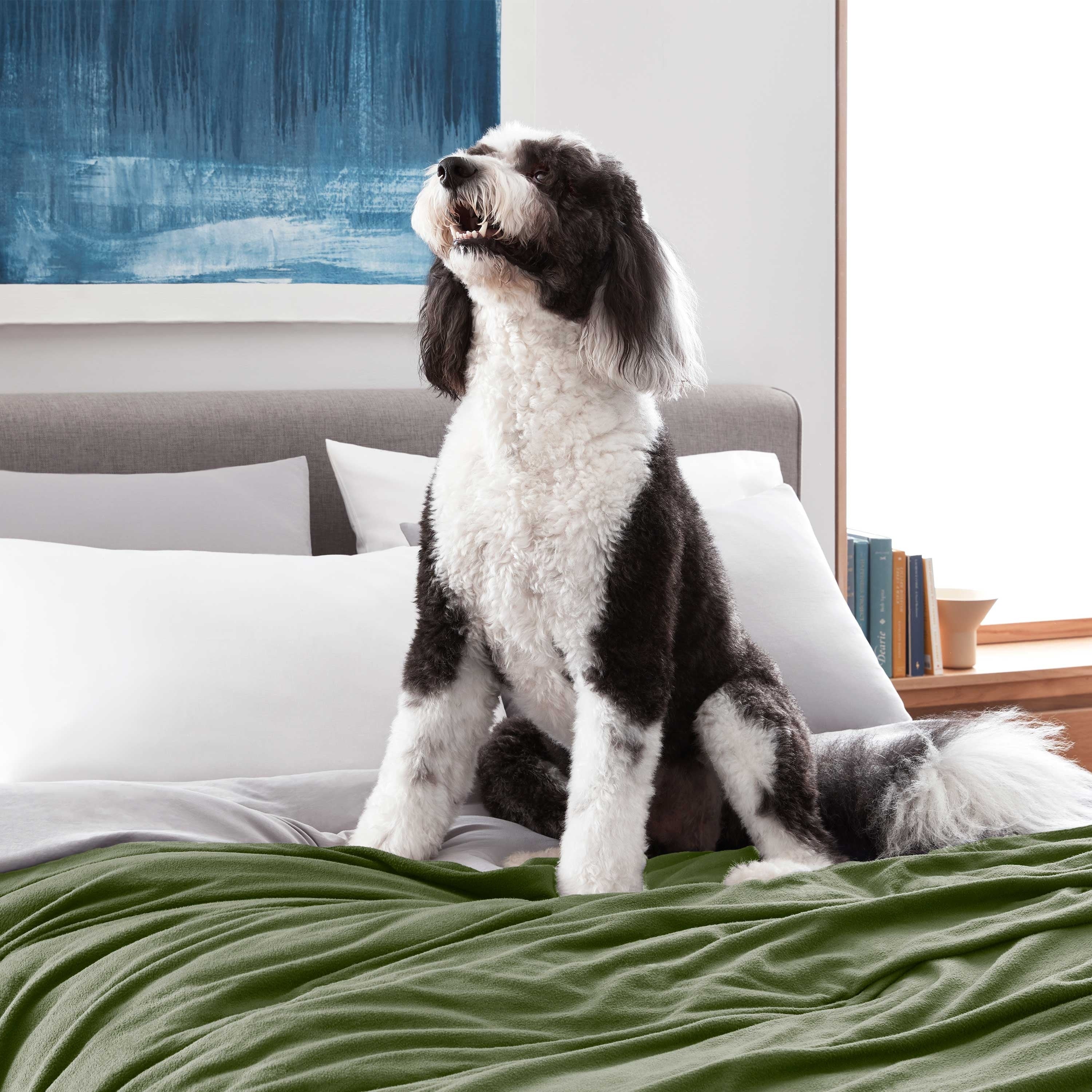 Martex Super Soft Fleece - Comfy Lightweight All Season Blanket