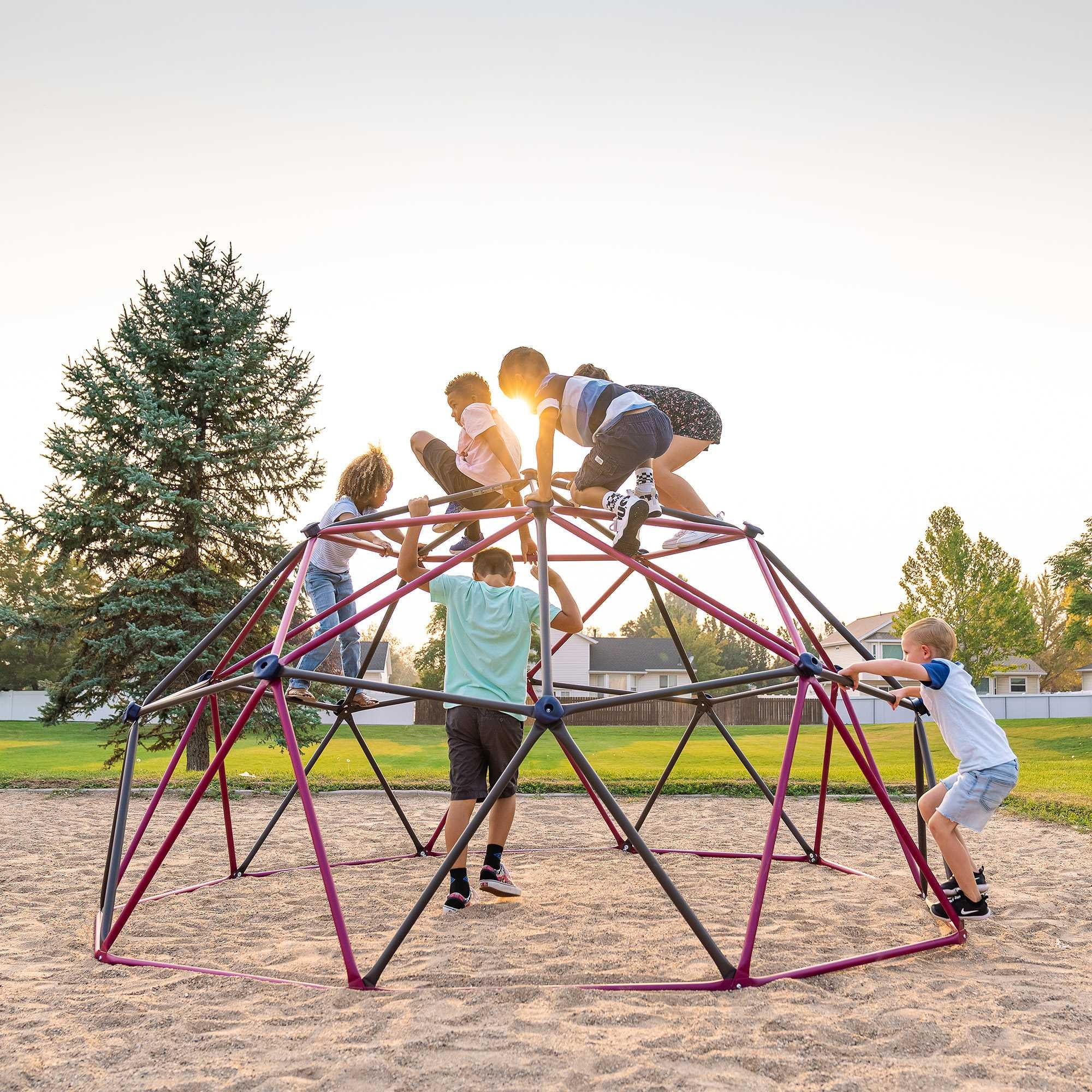Lifetime Kid's Outdoor 5.5 ft. H x 11 ft. W Dome Climber, Berry and Brown (91088)