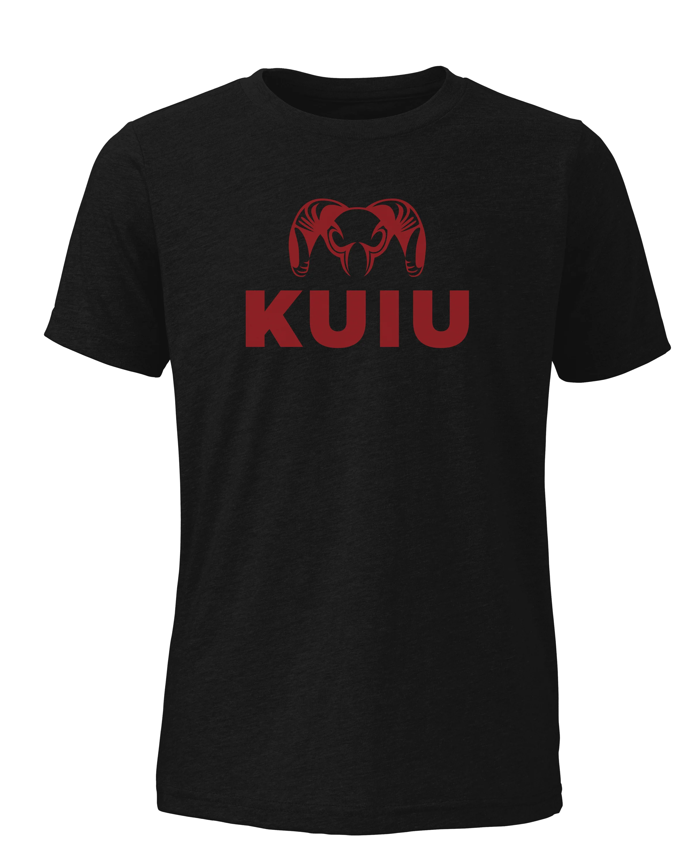 Youth Logo Tees New