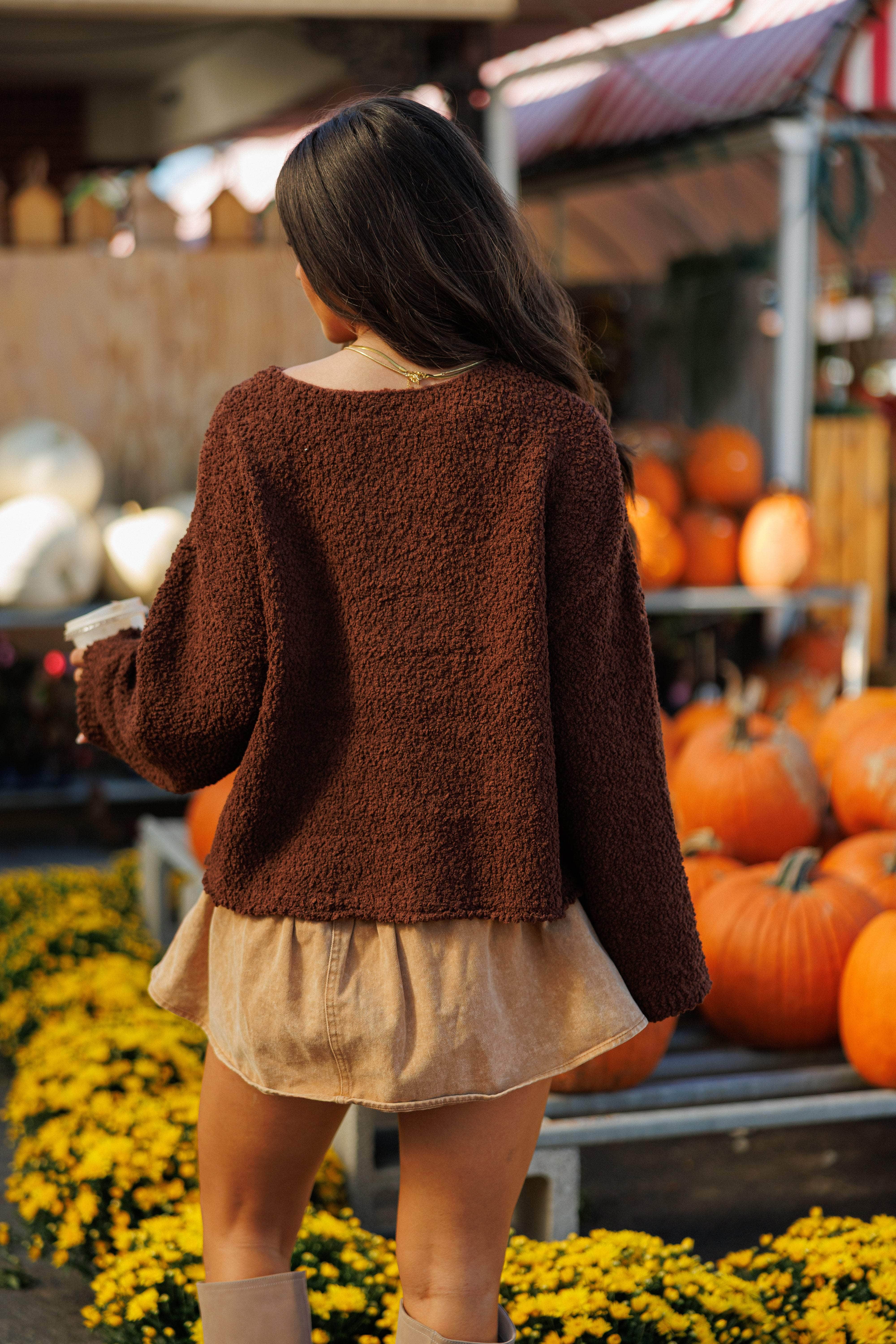 Chestnut Dreams Sweater
