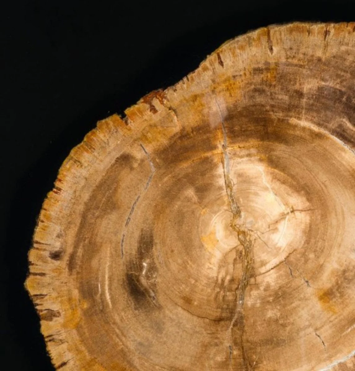 Luxury coffee table coffee table hollow steel nickel finish 91 x H 39 cm - Luxury Collection