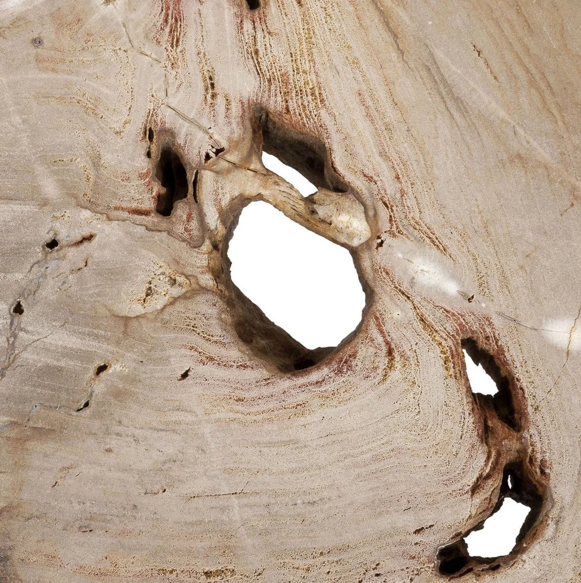 Luxury coffee table natural colors / silver 115 x 68 x H. 35 cm - Elegant living room table with petrified wood table top and stainless steel legs - Luxury living room furniture