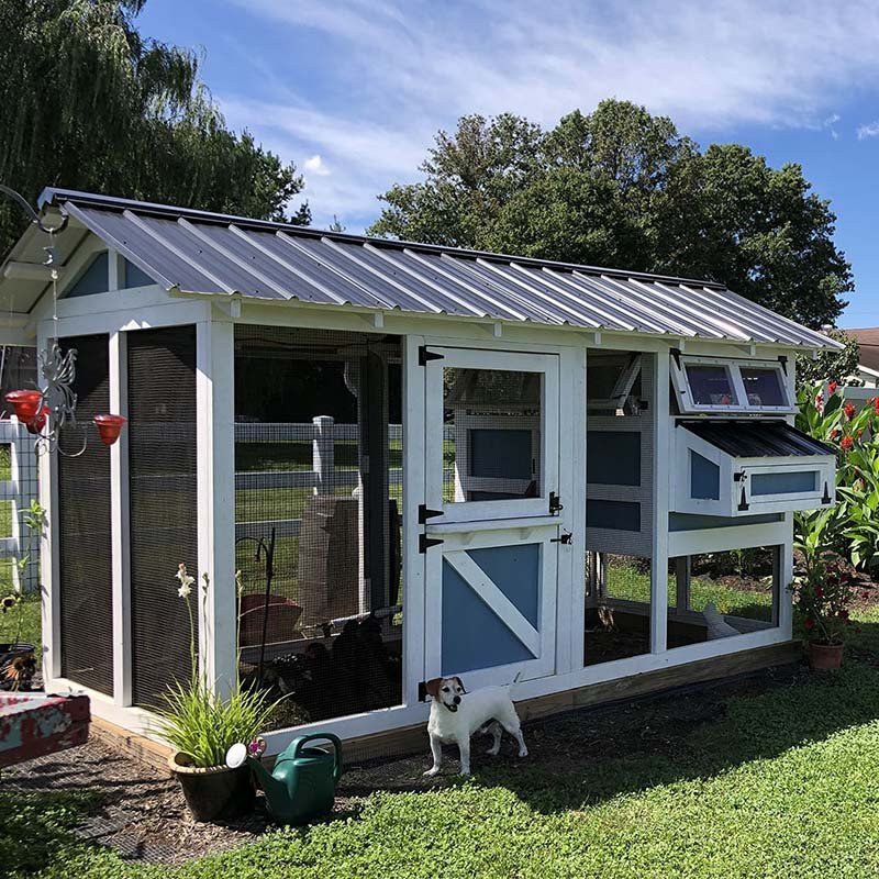 Chicken Coop im Freien - 6'x12'x7.5'