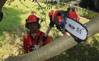 Cl Pole-Mounted Powered Pruner GE-LC 18 Li T-Solo