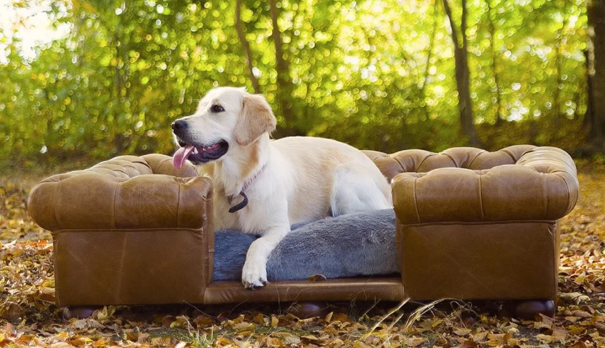 Luxury Chesterfield leather dog bed vintage brown / dark brown / gray 134 x 104 x H. 37 cm - Rectangular genuine leather dog bed - Luxury Chesterfield leather pet furniture