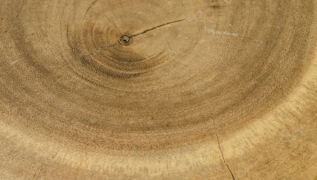 Luxury living room side table / stool natural colors - luxury quality