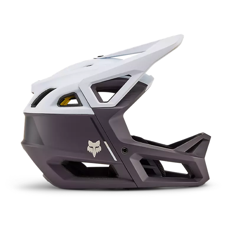 Proframe Helm