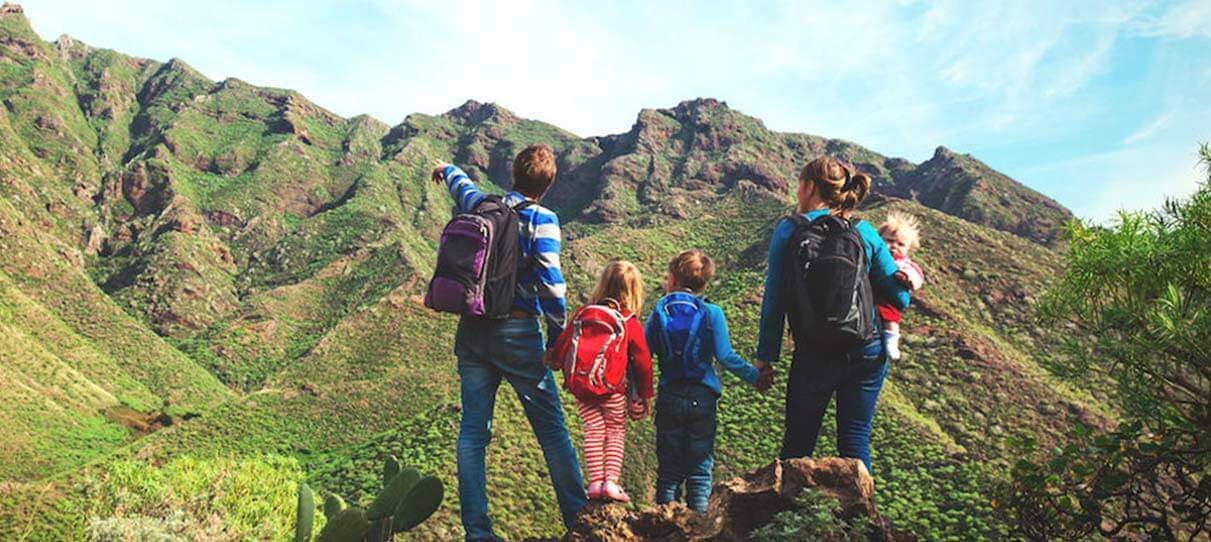 Leinwand 11 Liter Folding Water Bucket - Blue