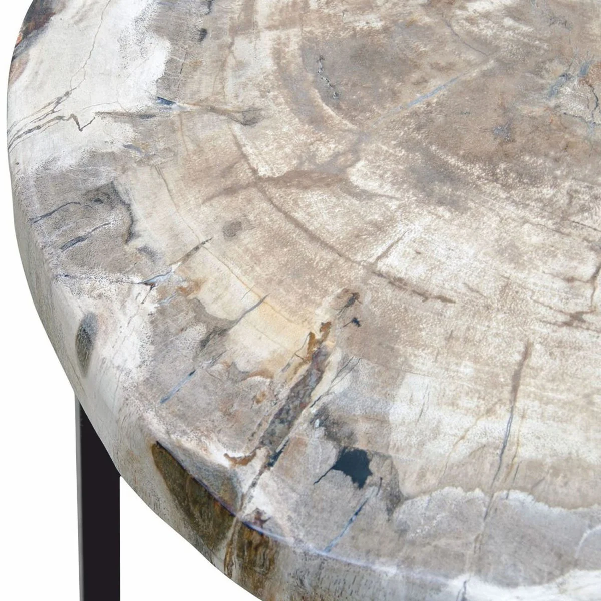 Luxury side table with petrified wood table top H. 45 cm - luxury furniture