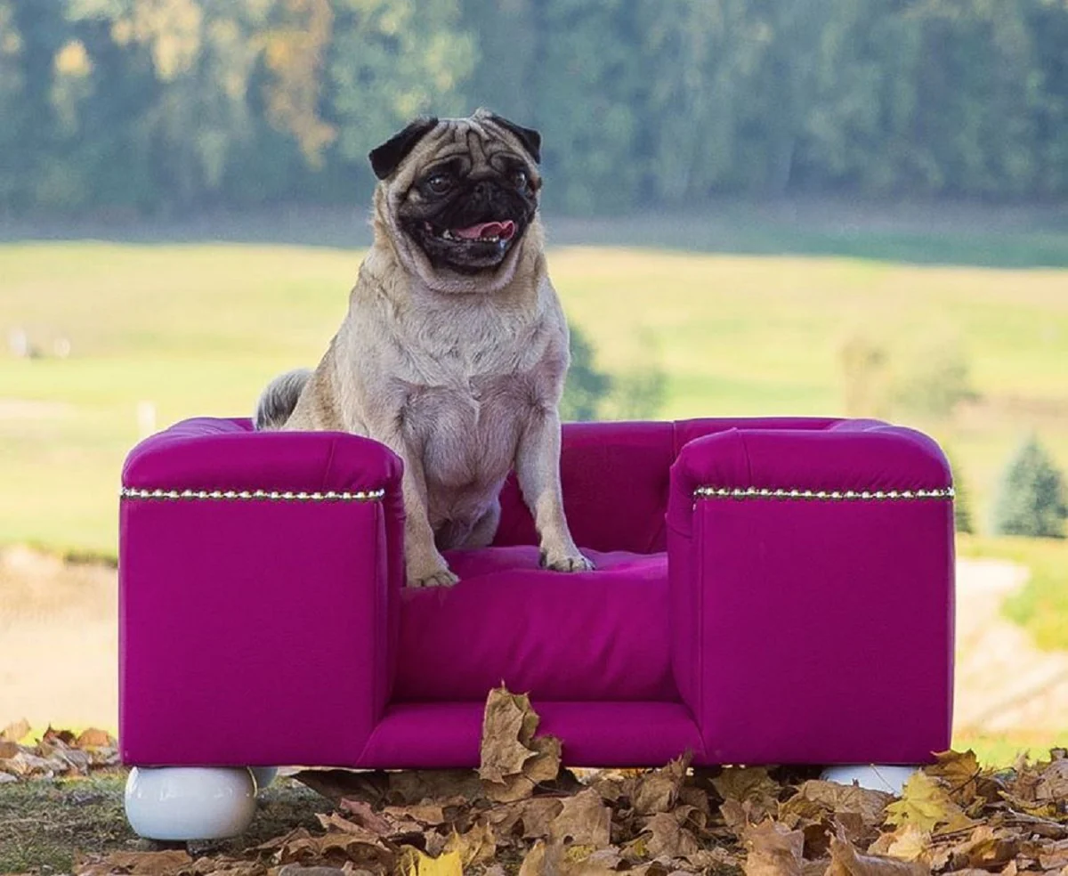 Luxury dog ​​bed purple / white / purple 65 x 55 x H. 31 cm - Modern rectangular dog bed with cushions - Luxury dog ​​furniture - Luxury pet furniture