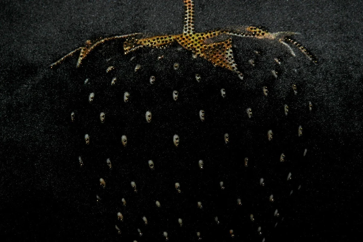 Luxus Deko Kissen Strawberry mit Bling Bling Glitzersteinen Schwarz / Gold 35 x 55 cm - Feinster Samtstoff - Luxus Deko Accessoires